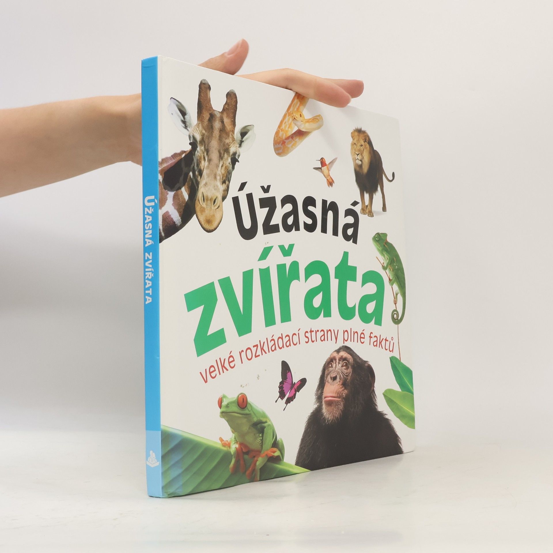 Autorenkollektiv Úžasná zvířata - velké rozkládací strany plné faktů