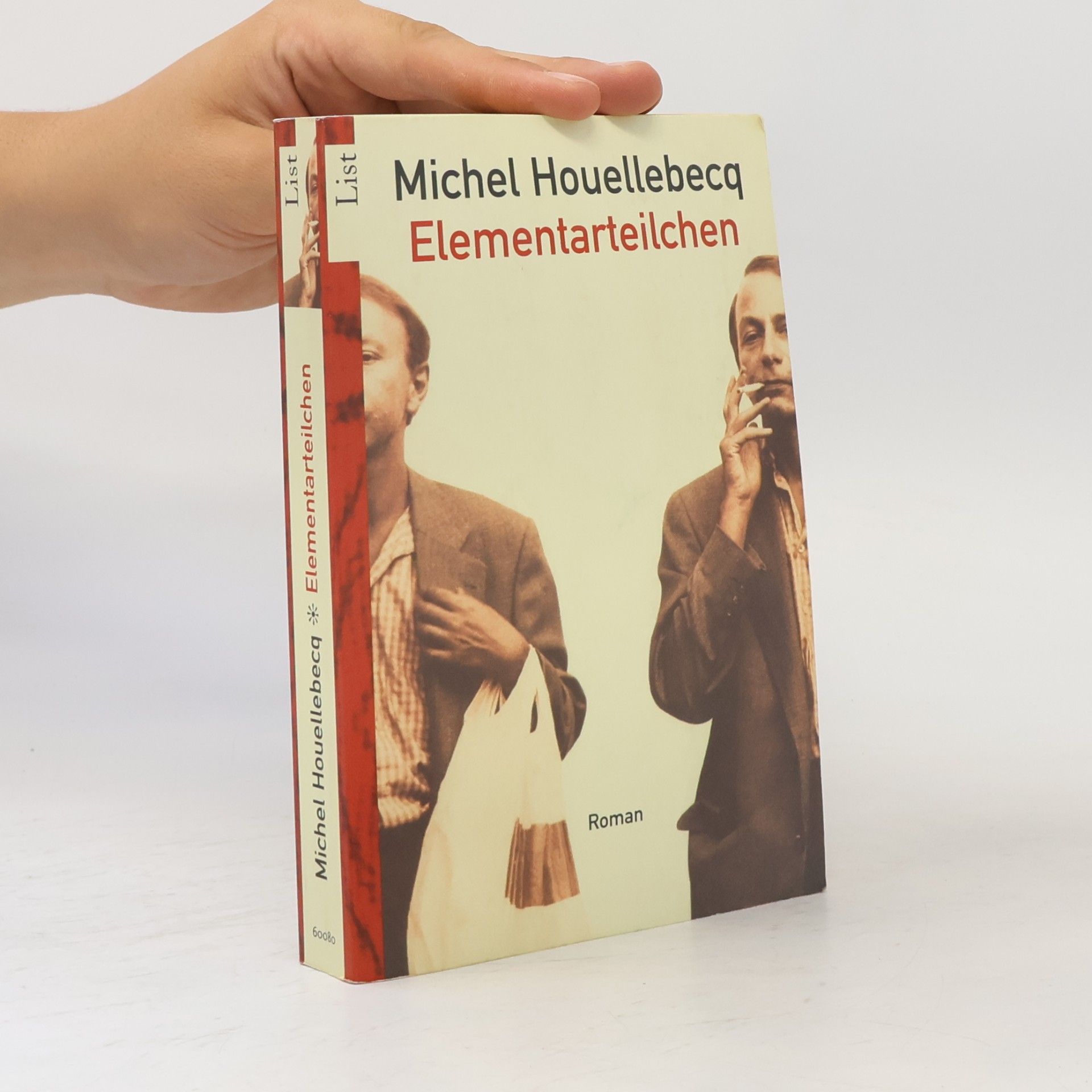 Michel Houellebecq Elementarteilchen