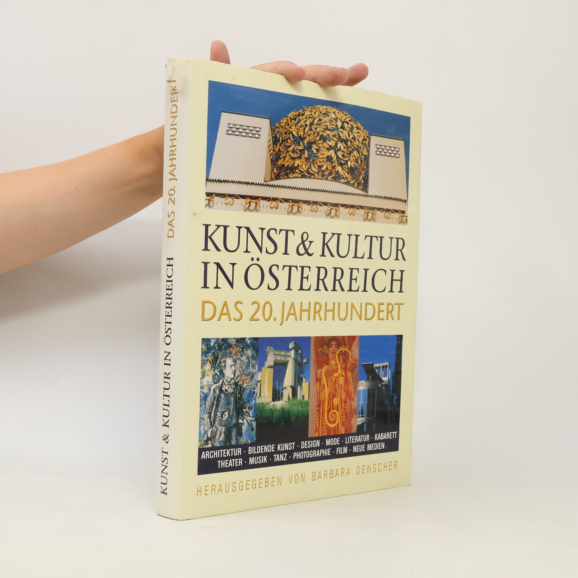 Barbara Denscher Kunst & Kultur in Österreich das 20. Jahrhundert