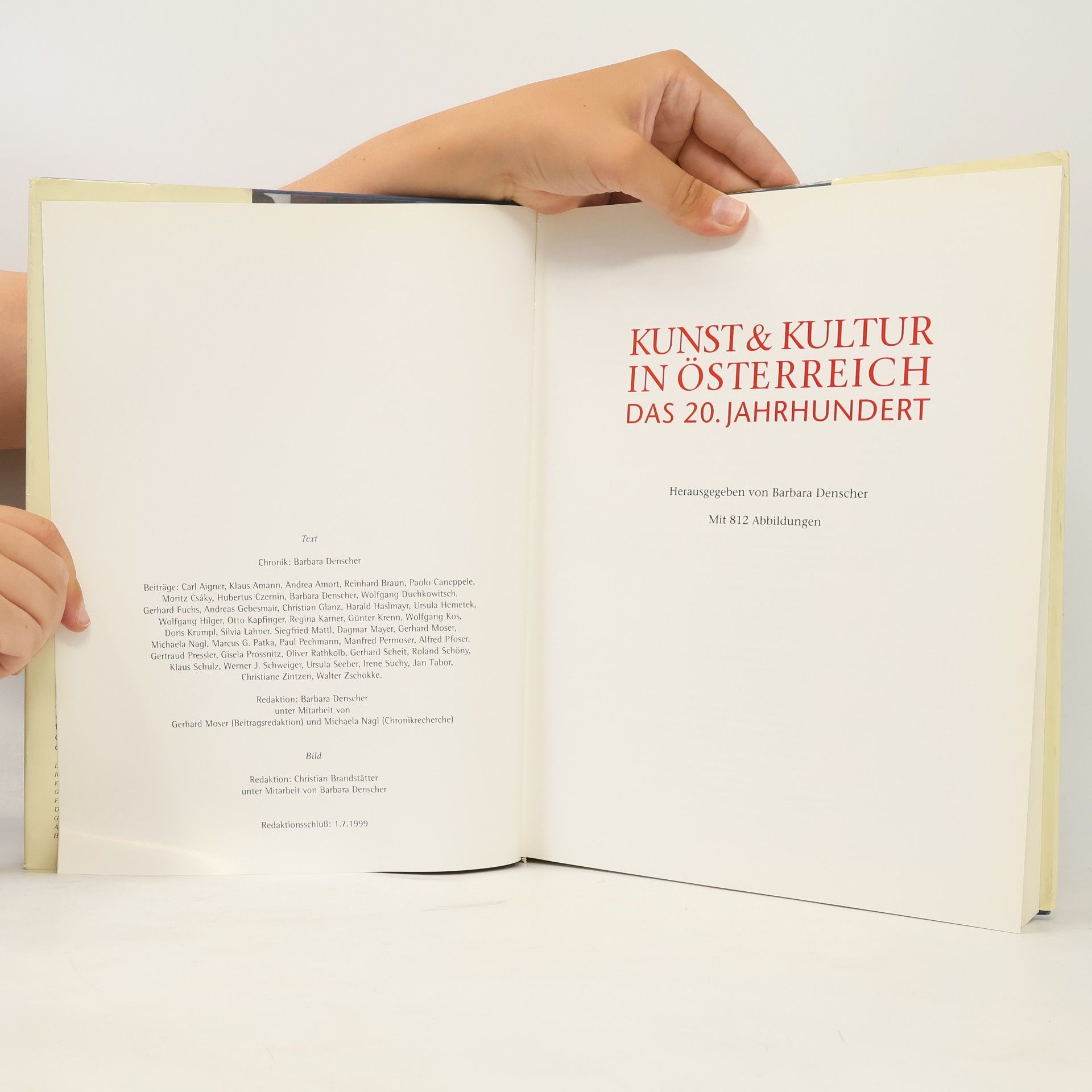 Barbara Denscher Kunst & Kultur in Österreich das 20. Jahrhundert