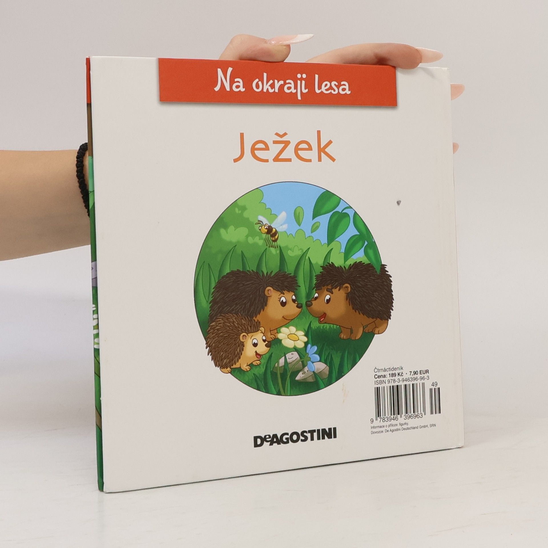Kolektiv autorů Na kraji lesa 8. Ježek