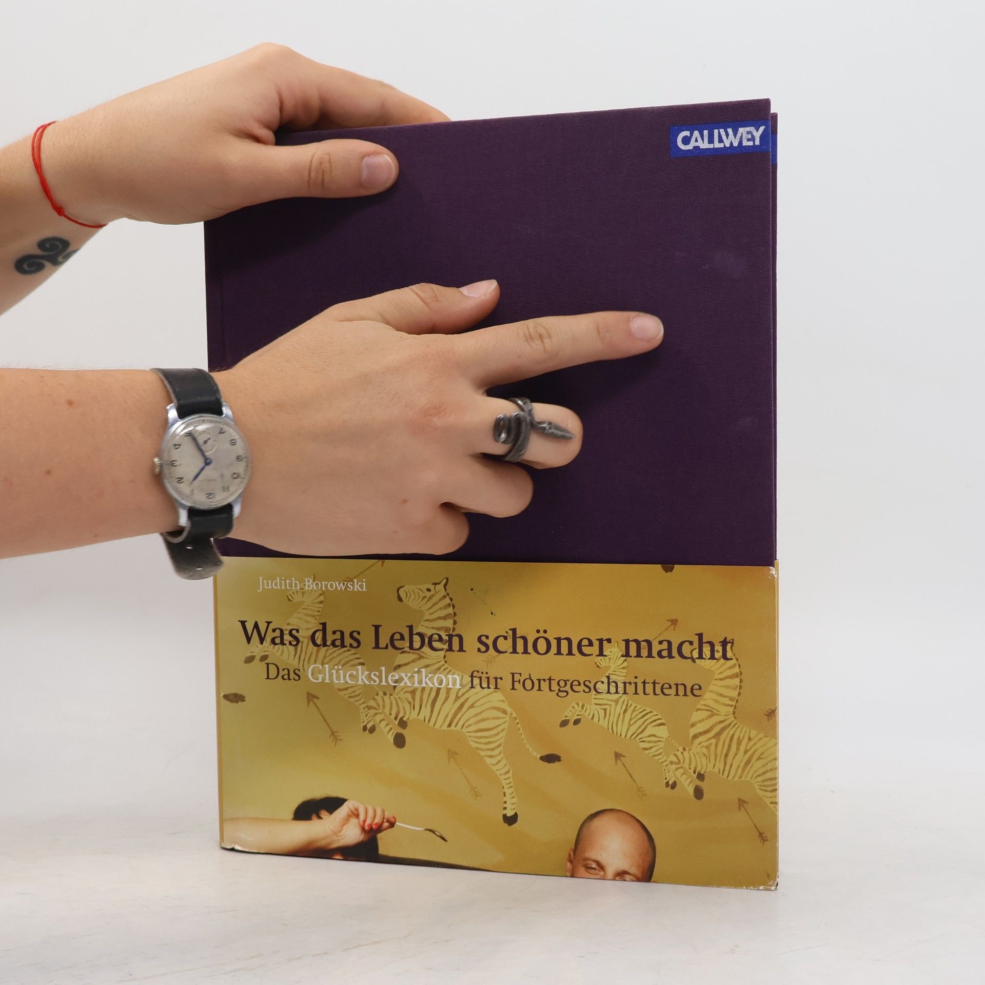Judith Borowski Was das Leben schöner macht. Das Glückslexikon für Fortgeschrittene