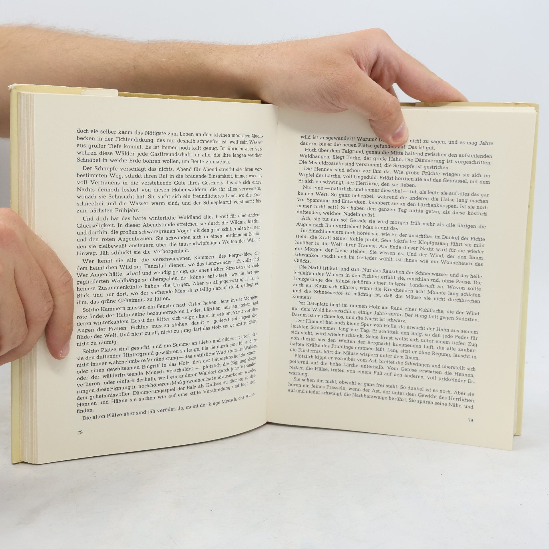 Various authors Das Große Buch der Tiergeschichten