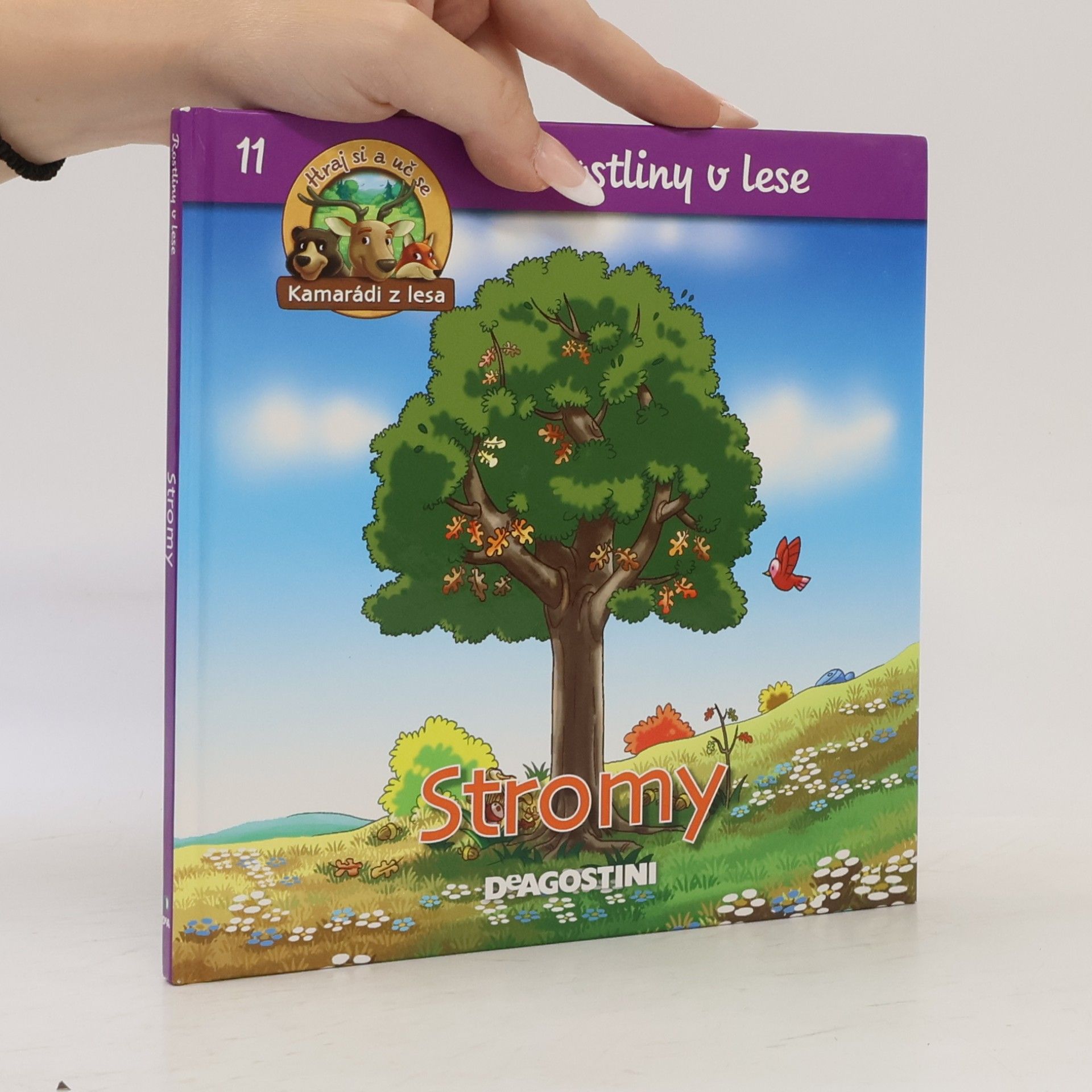 Autorenkollektiv Rostliny v lese 11, Stromy