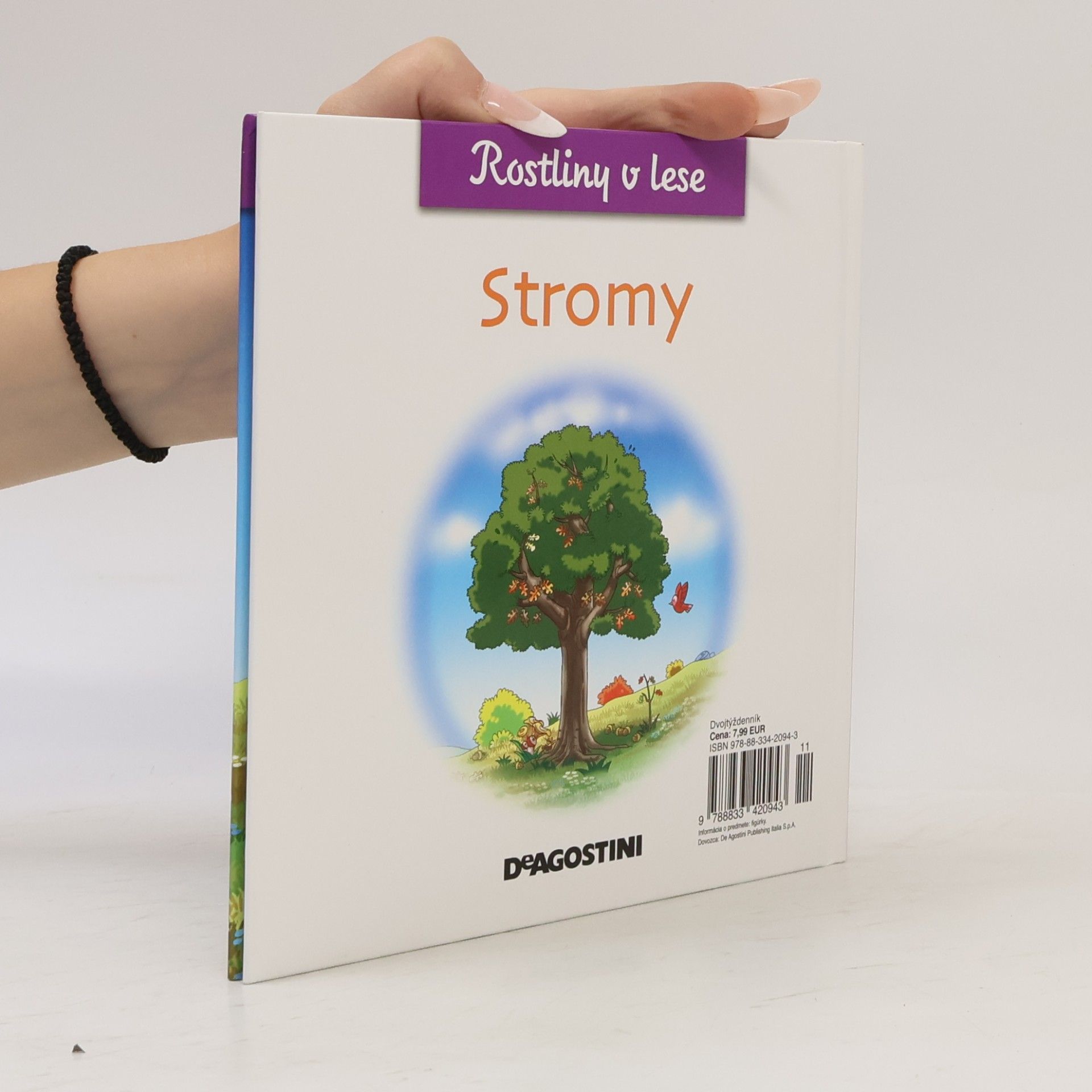 Autorenkollektiv Rostliny v lese 11, Stromy