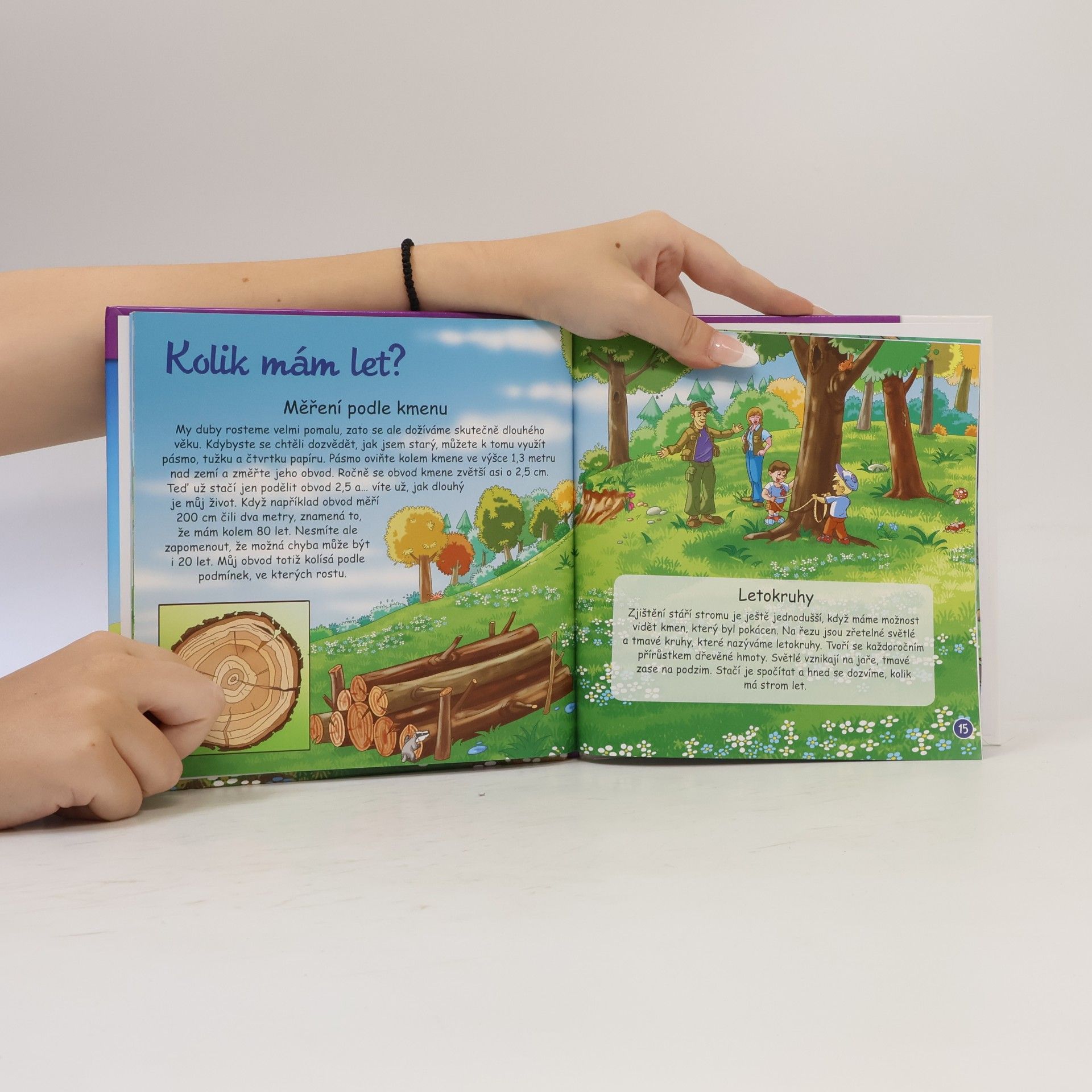 Autorenkollektiv Rostliny v lese 11, Stromy