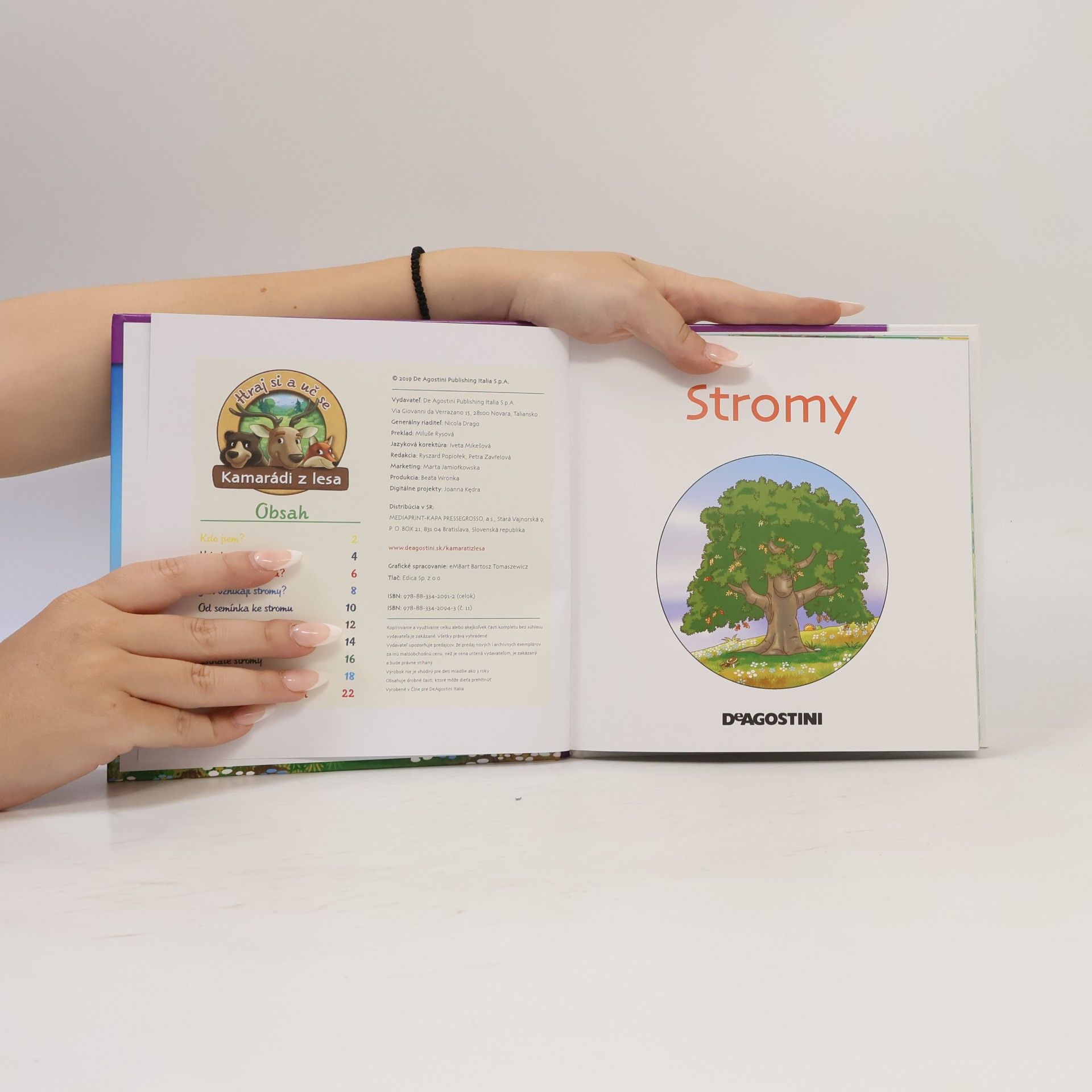 Autorenkollektiv Rostliny v lese 11, Stromy