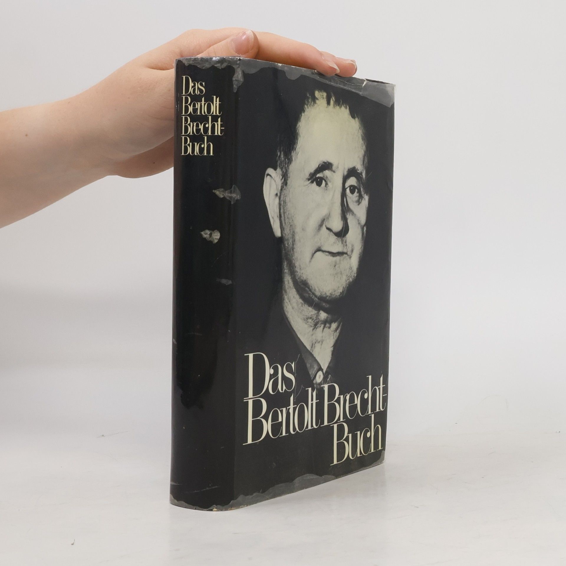 Bertolt Brecht Das Bertolt Brecht Buch