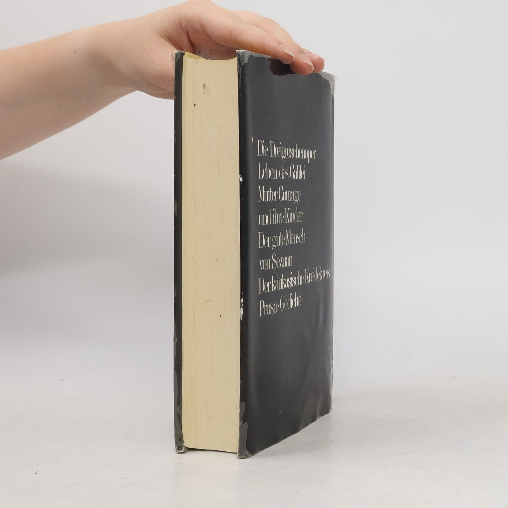 Bertolt Brecht Das Bertolt Brecht Buch