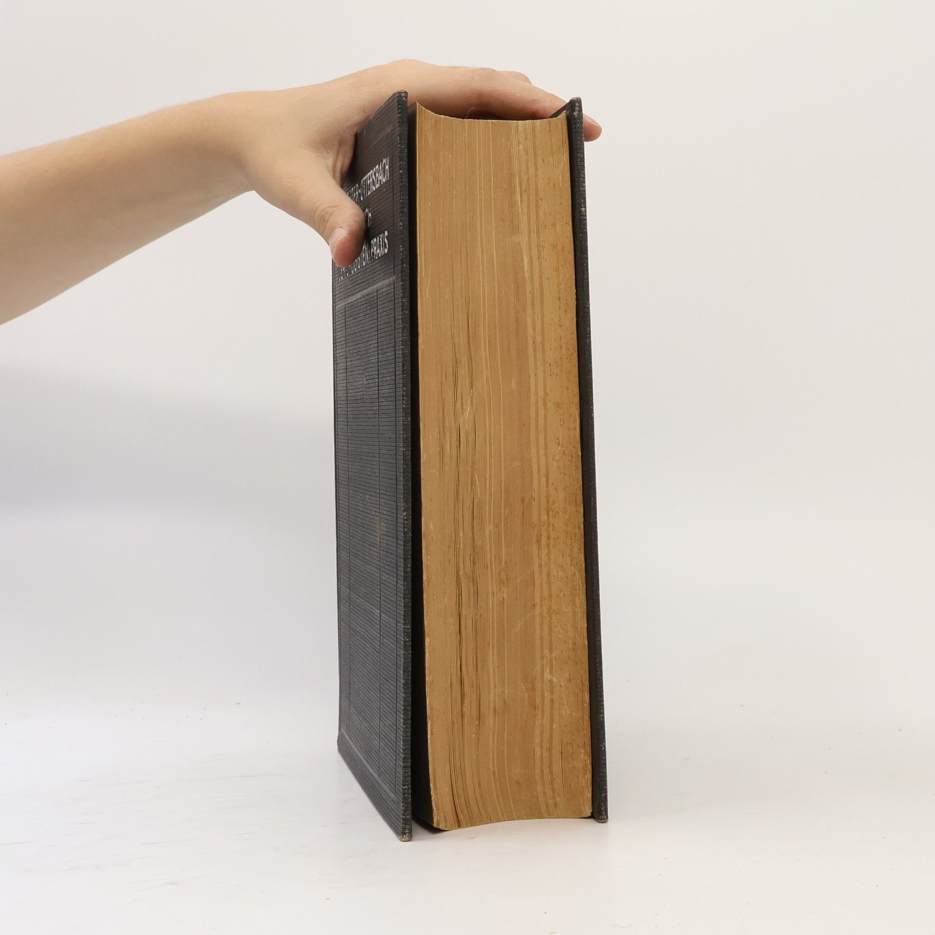 Georg Ottersbach Buchheister-Ottersbach Handbuch der Drogisten-Praxis 1. Band