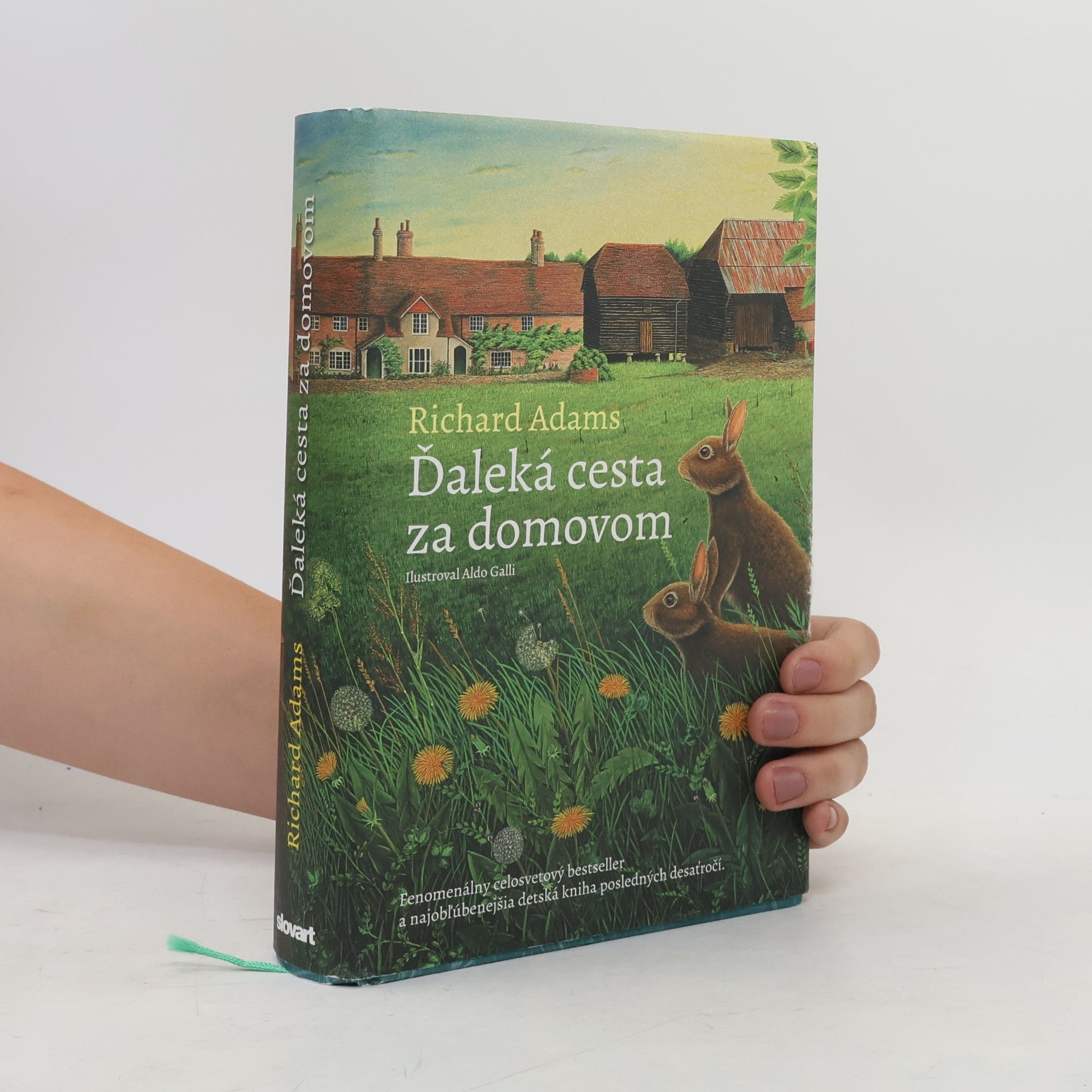 Ďaleká cesta za domovom