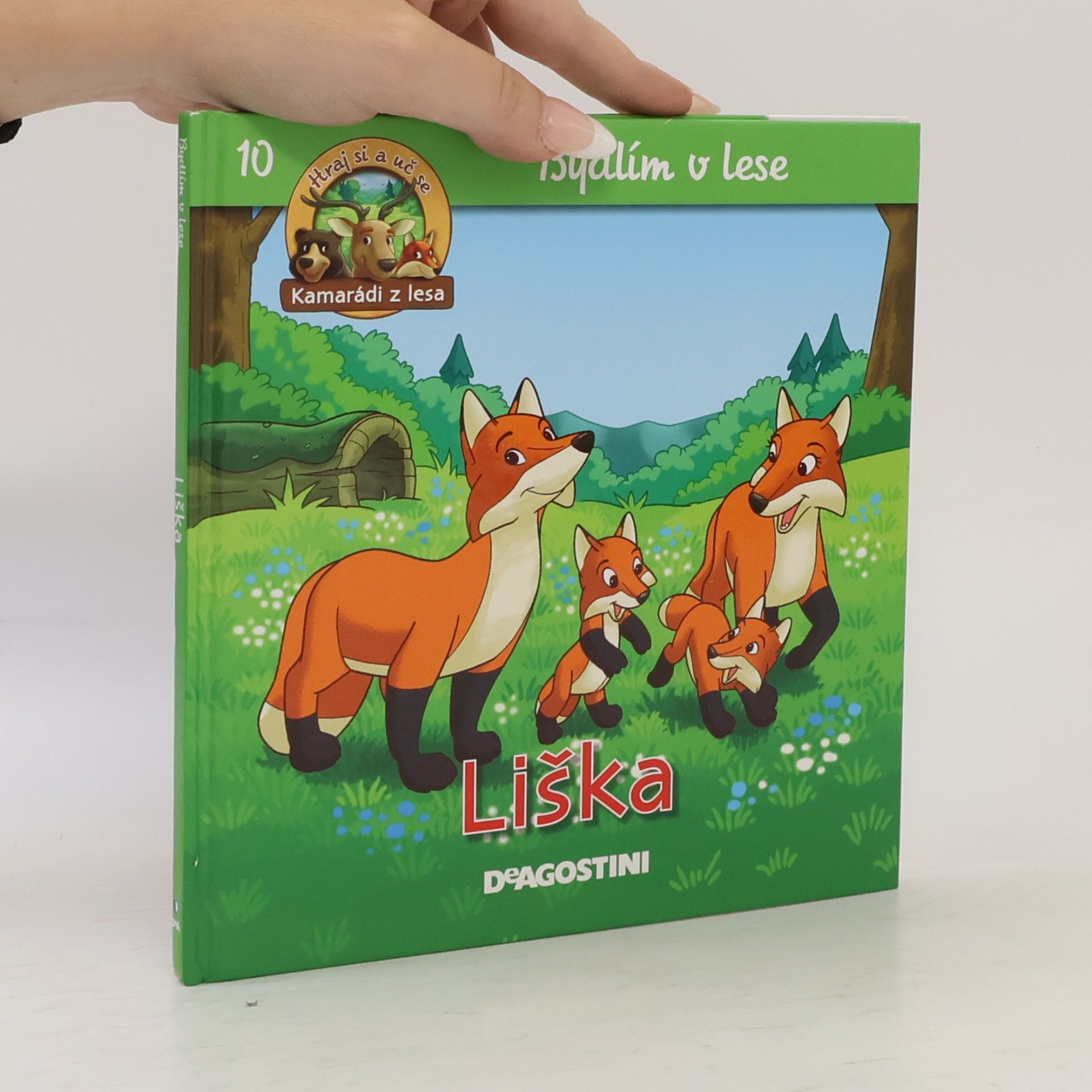 Kolektiv autorů Liška