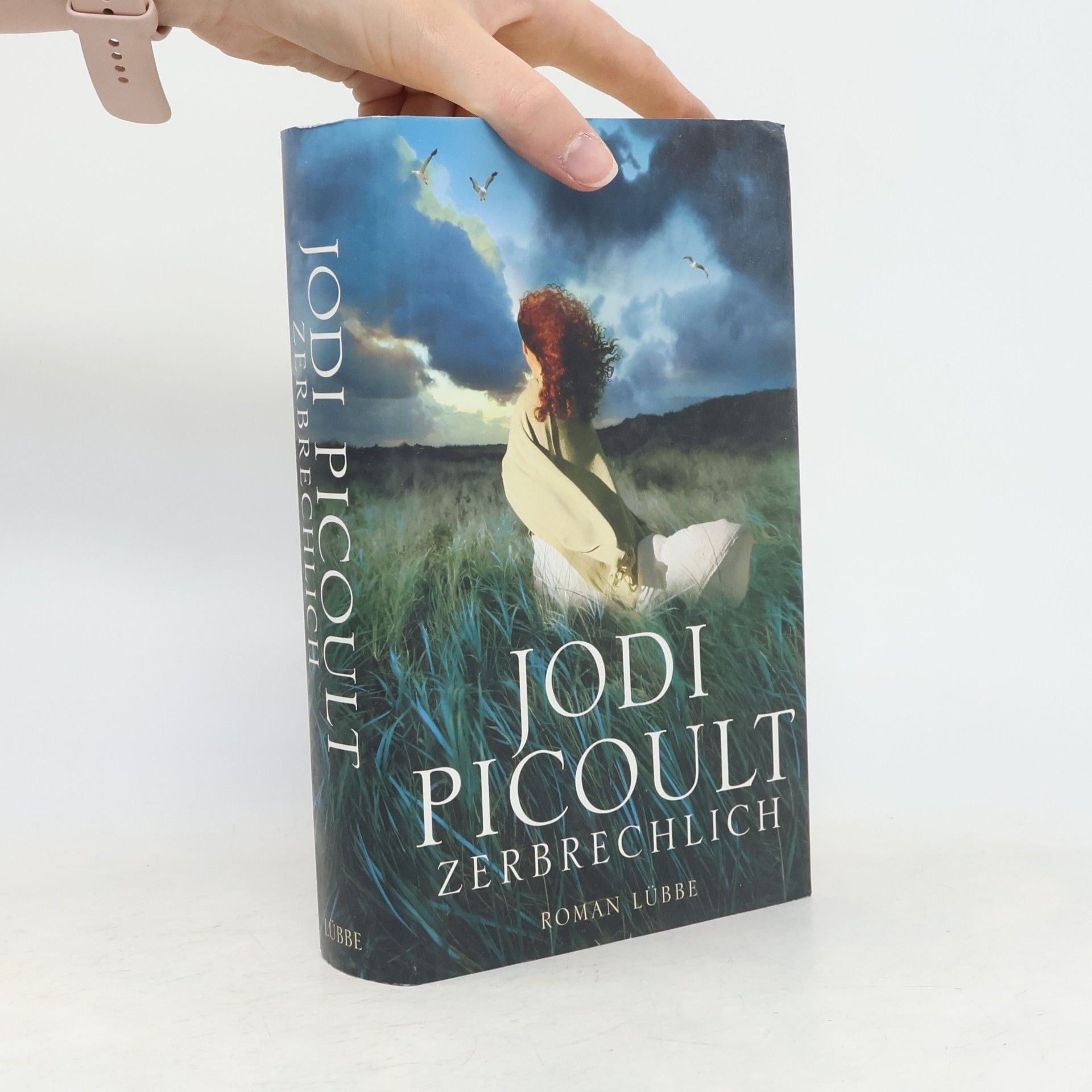 Jodi Picoult Zerbrechlich