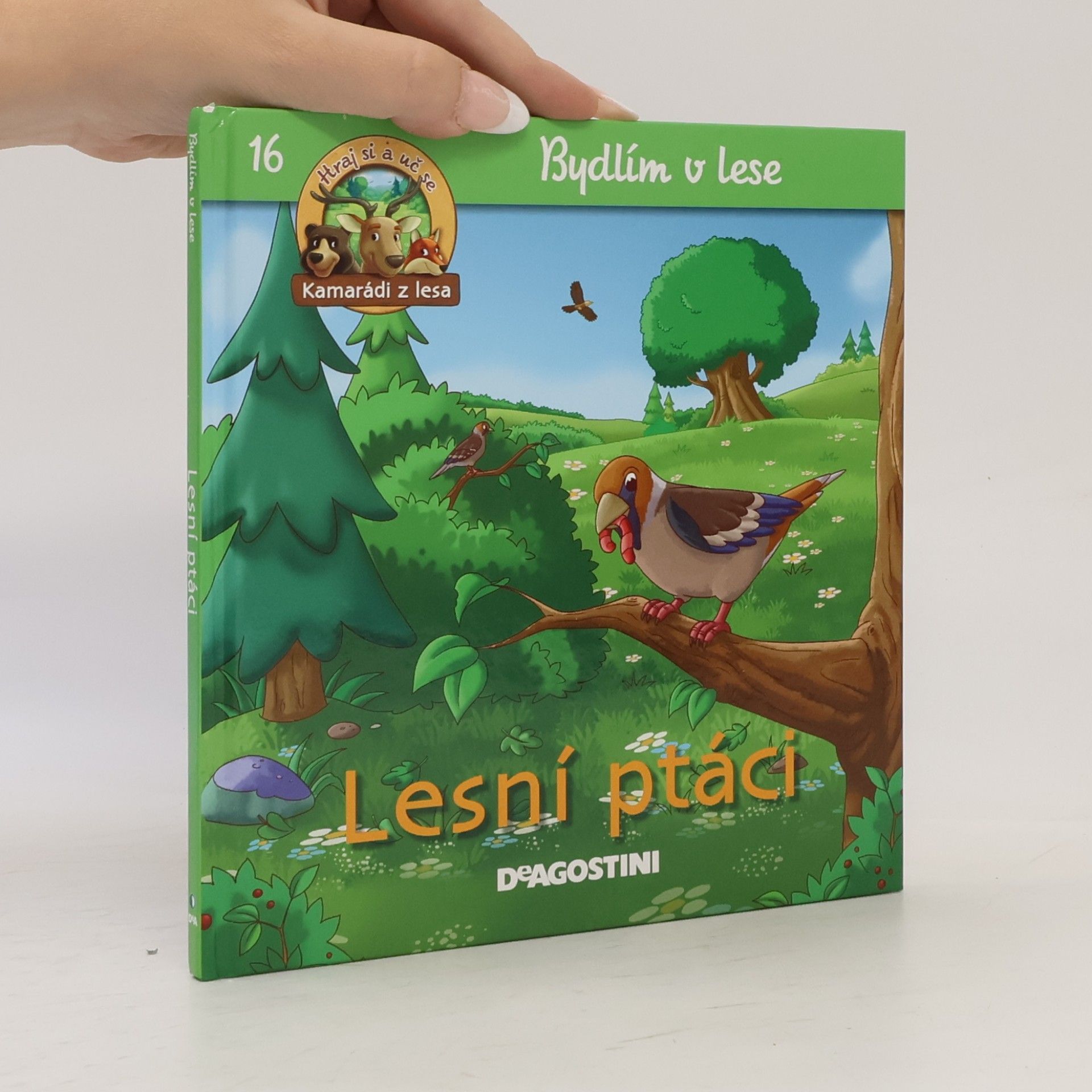 Petra Zavřelová Lesní ptáci