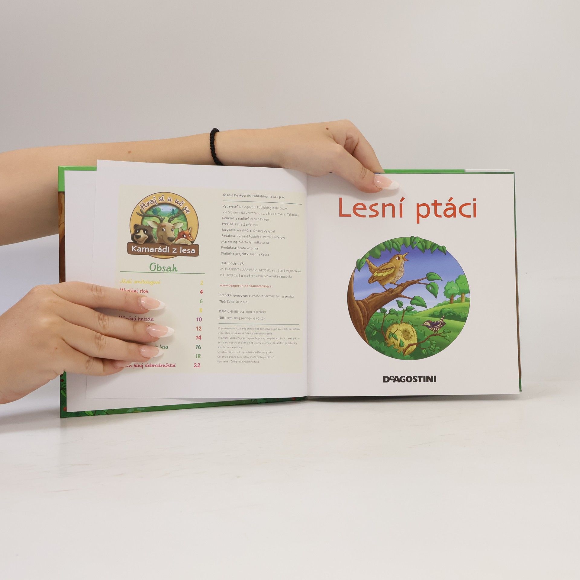 Kolektiv autorů Lesní ptáci