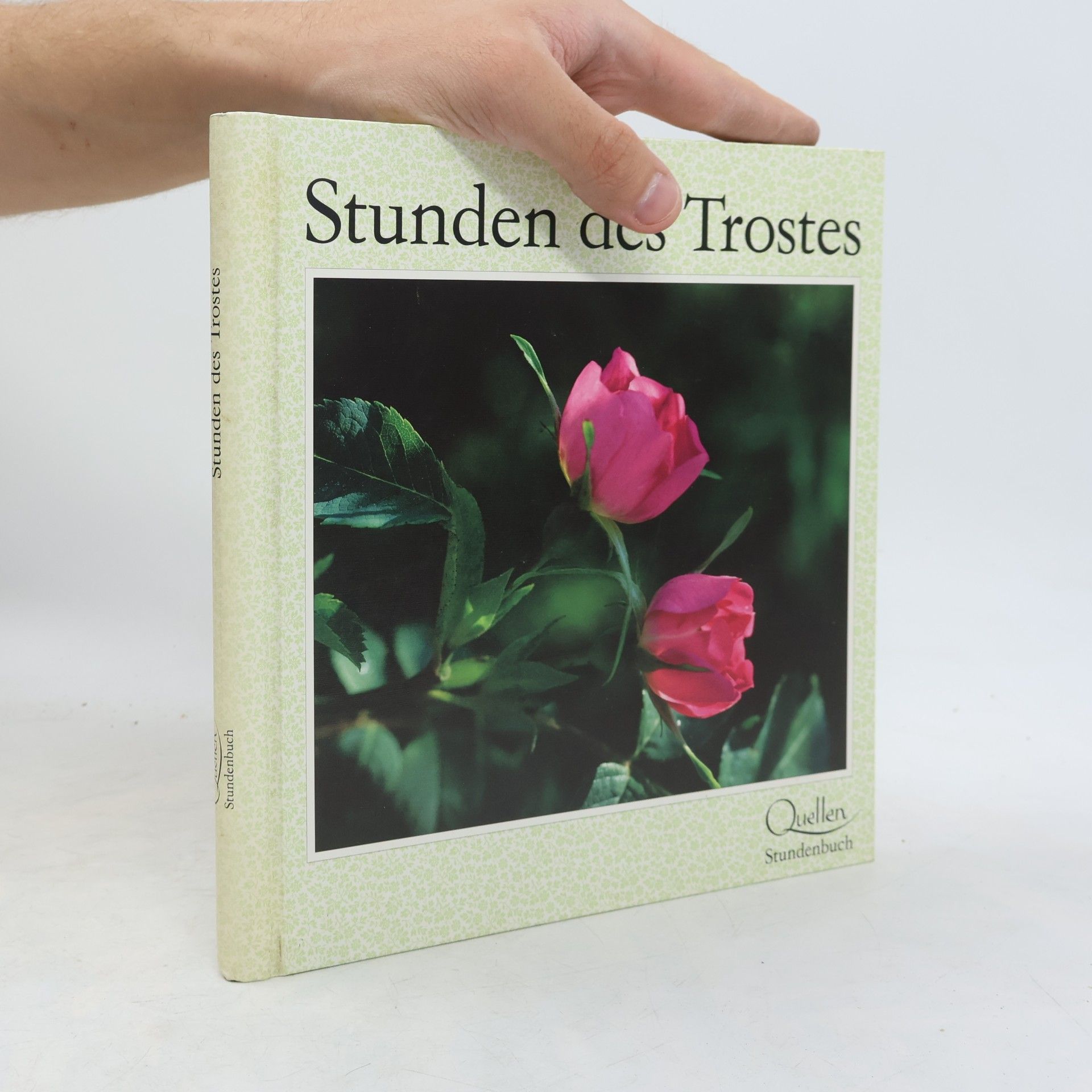 Eugen Hettinger Stunden des Trostes