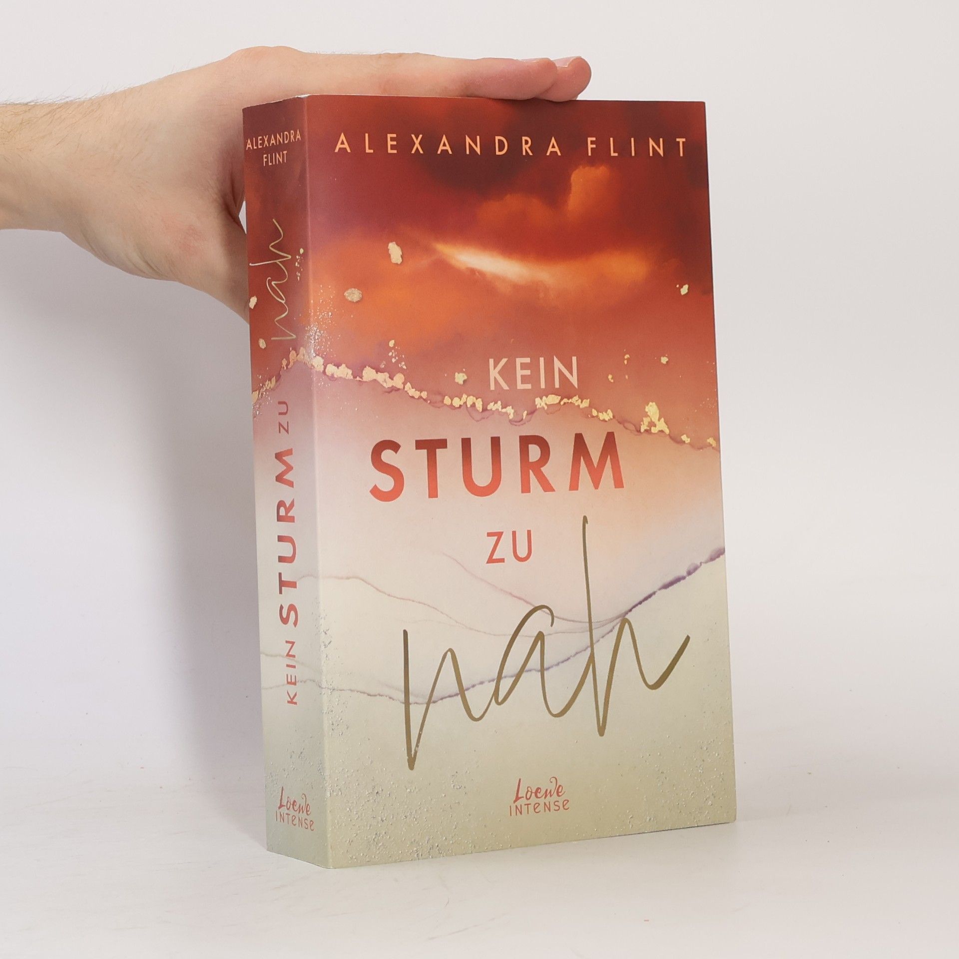 Alexandra Flint Kein Sturm zu nah (Tales of Sylt, Band 2)