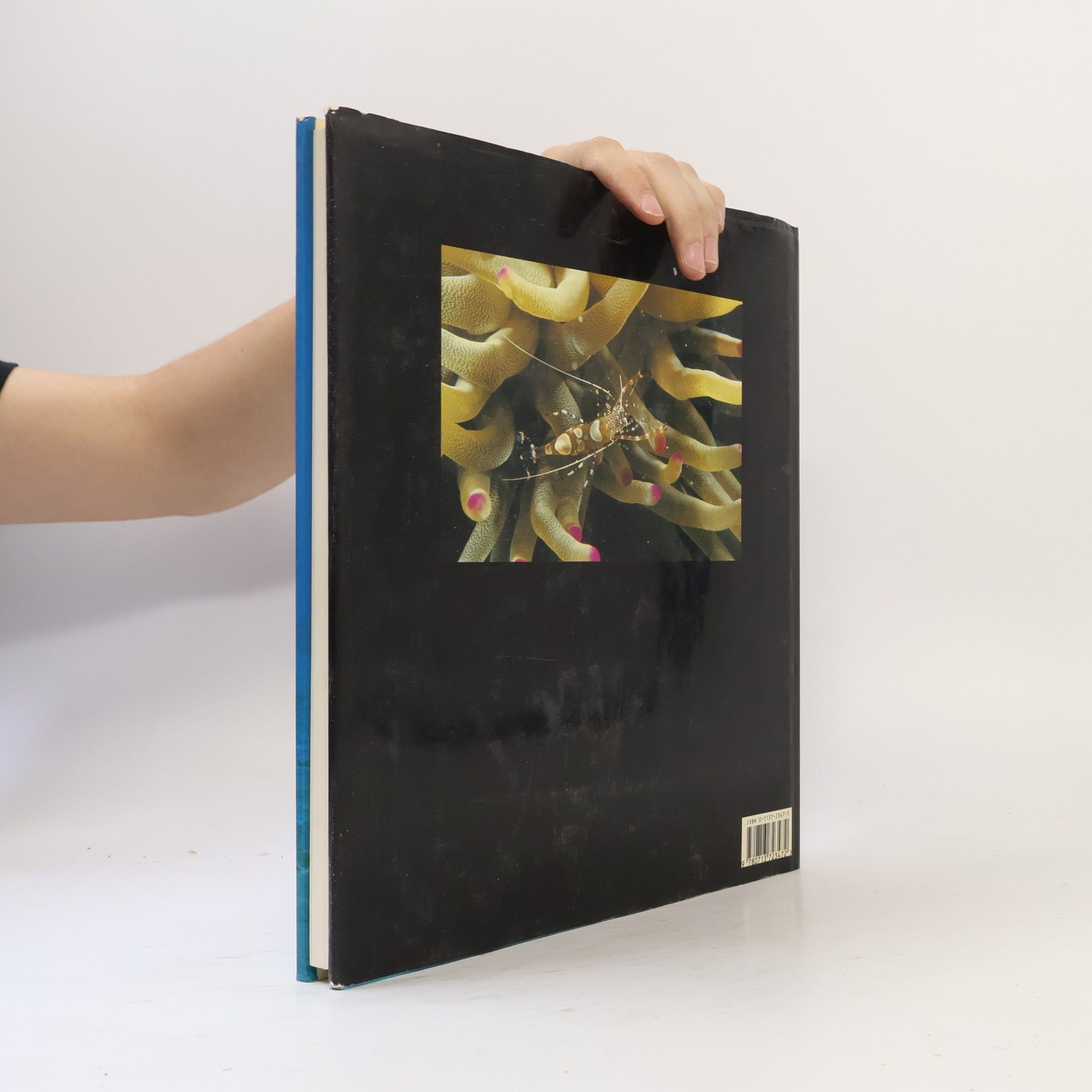 Sue Wells The Greenpeace Book of Coral Reefs