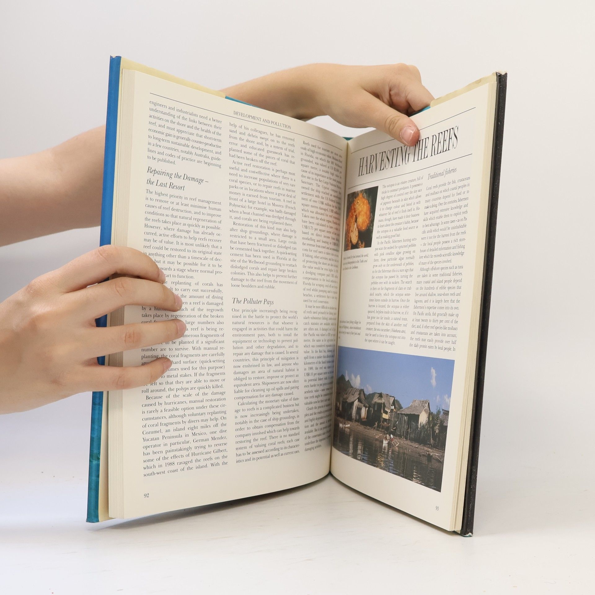 Sue Wells The Greenpeace Book of Coral Reefs