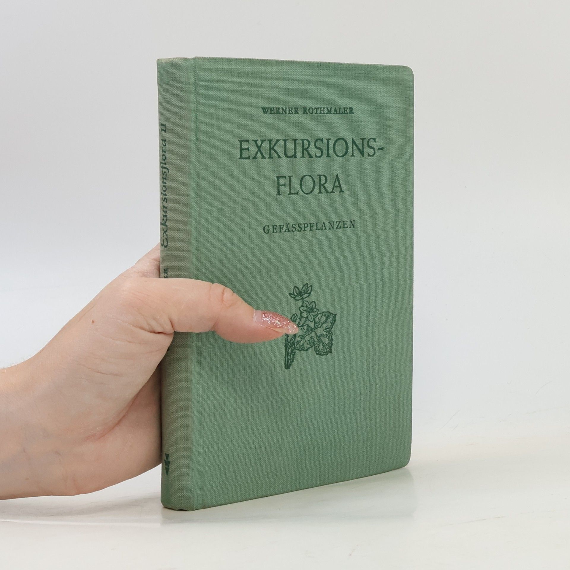 Werner Rothmaler Exkursionsflora II
