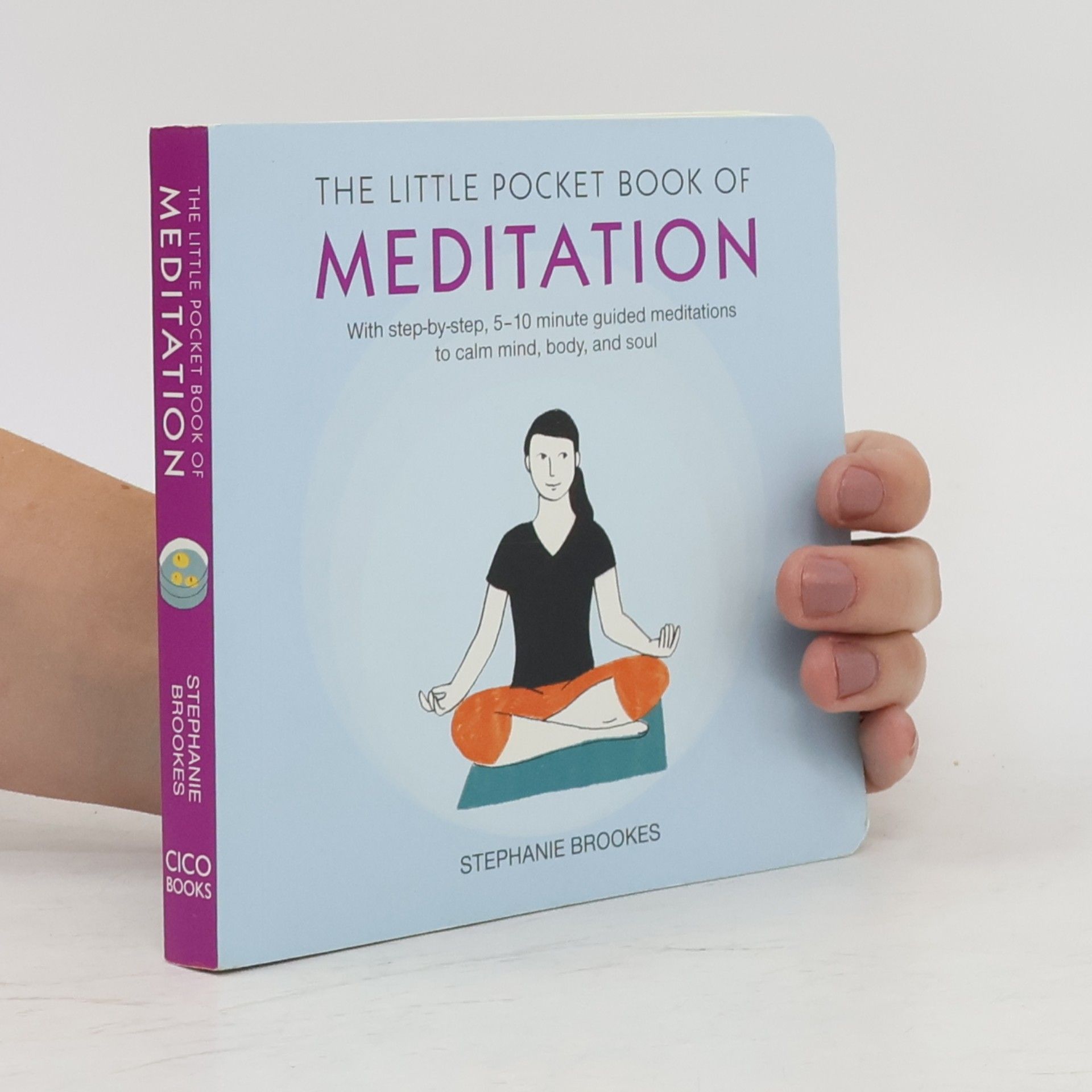 Stephanie Brookes The Little Pocket Book of Meditation