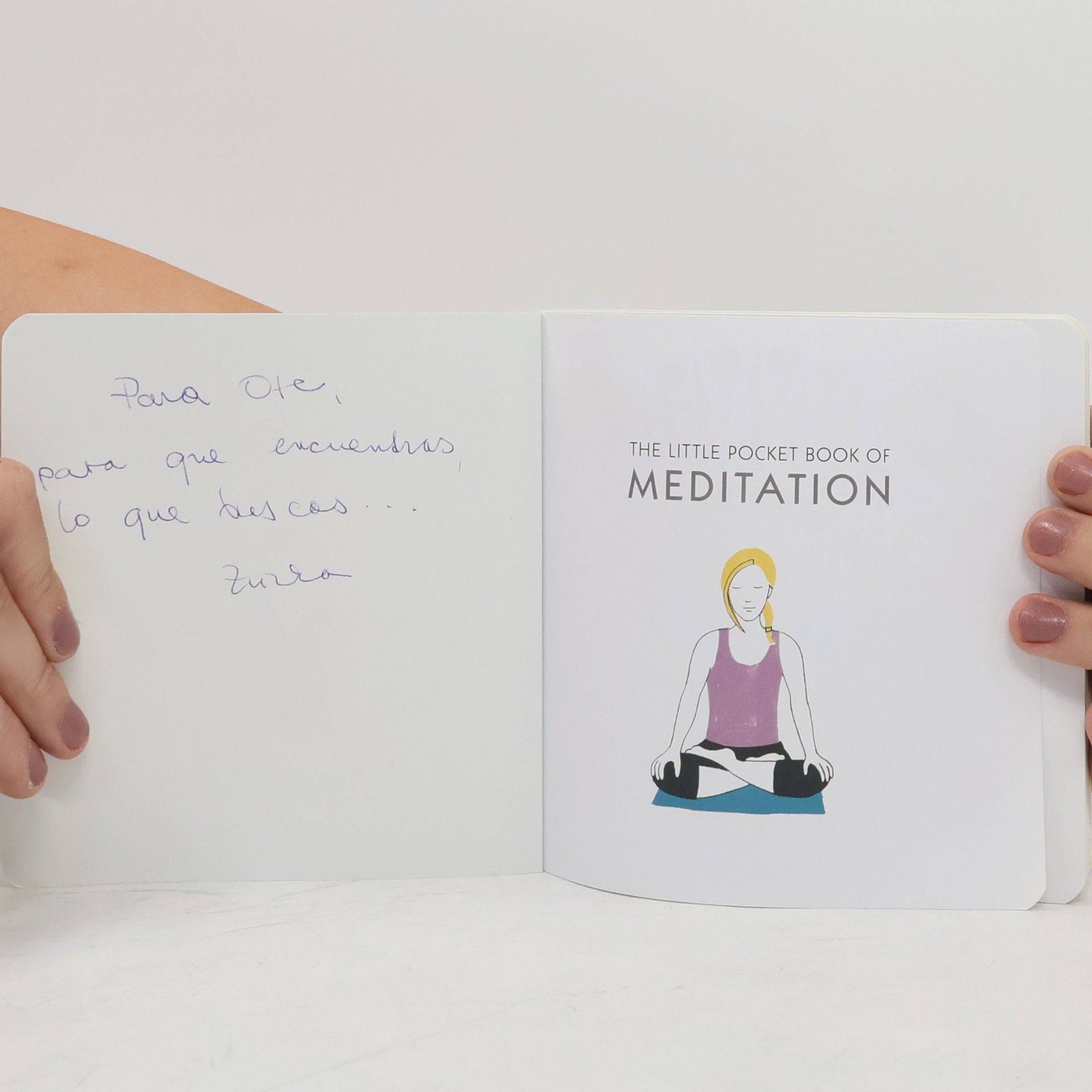 Stephanie Brookes The Little Pocket Book of Meditation