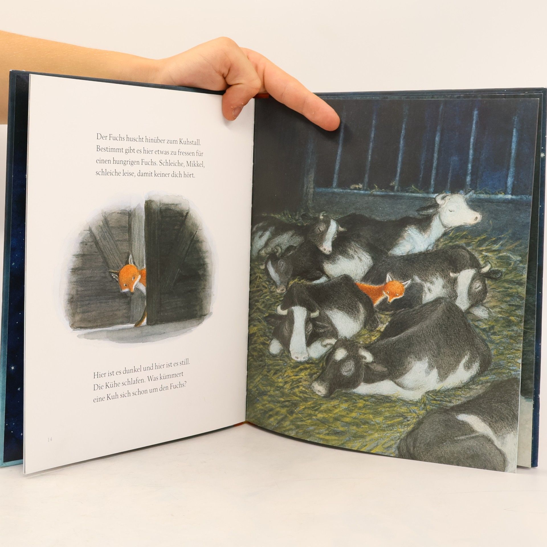 Astrid Lindgren Tomte und der Fuchs