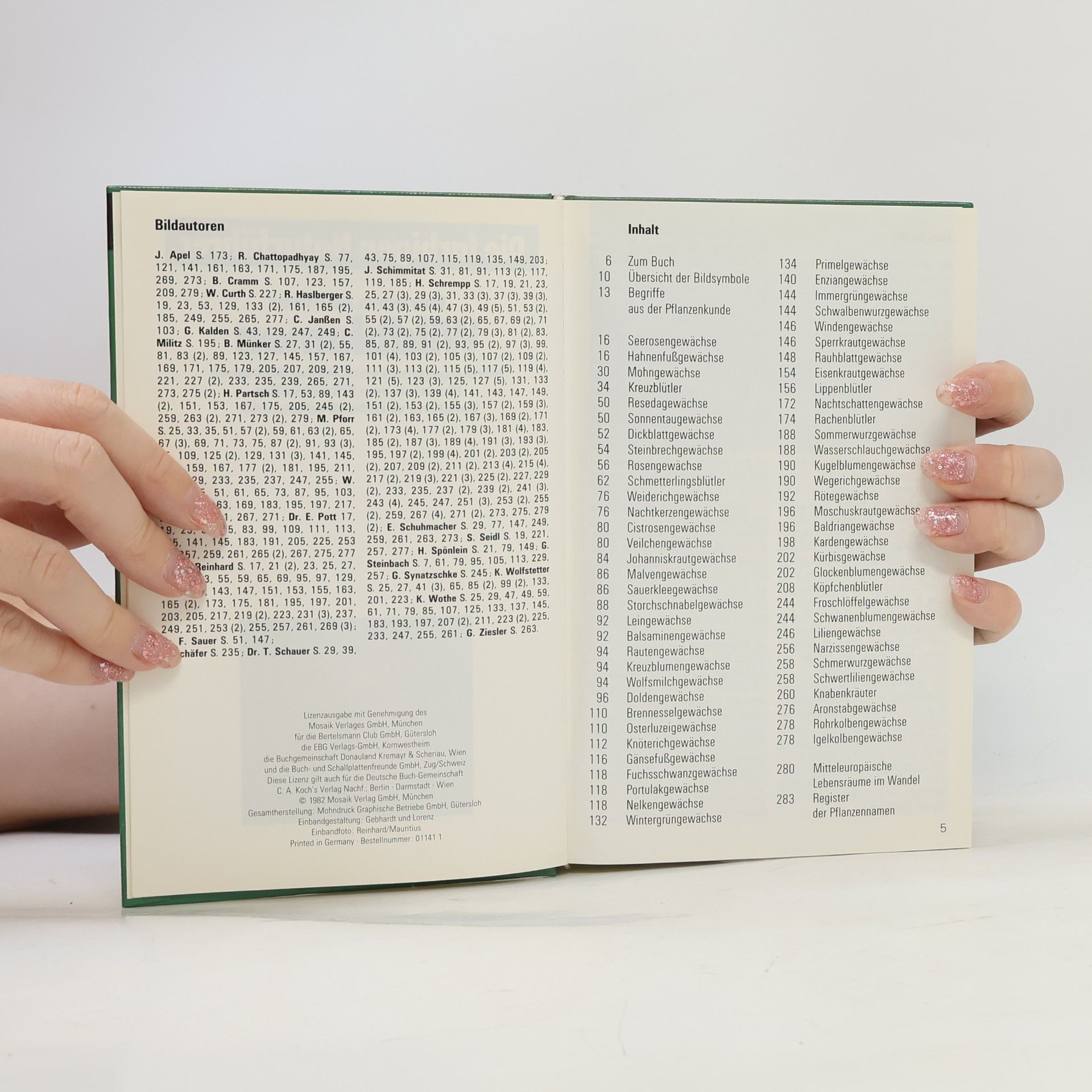 Autorenkollektiv Wildblumen