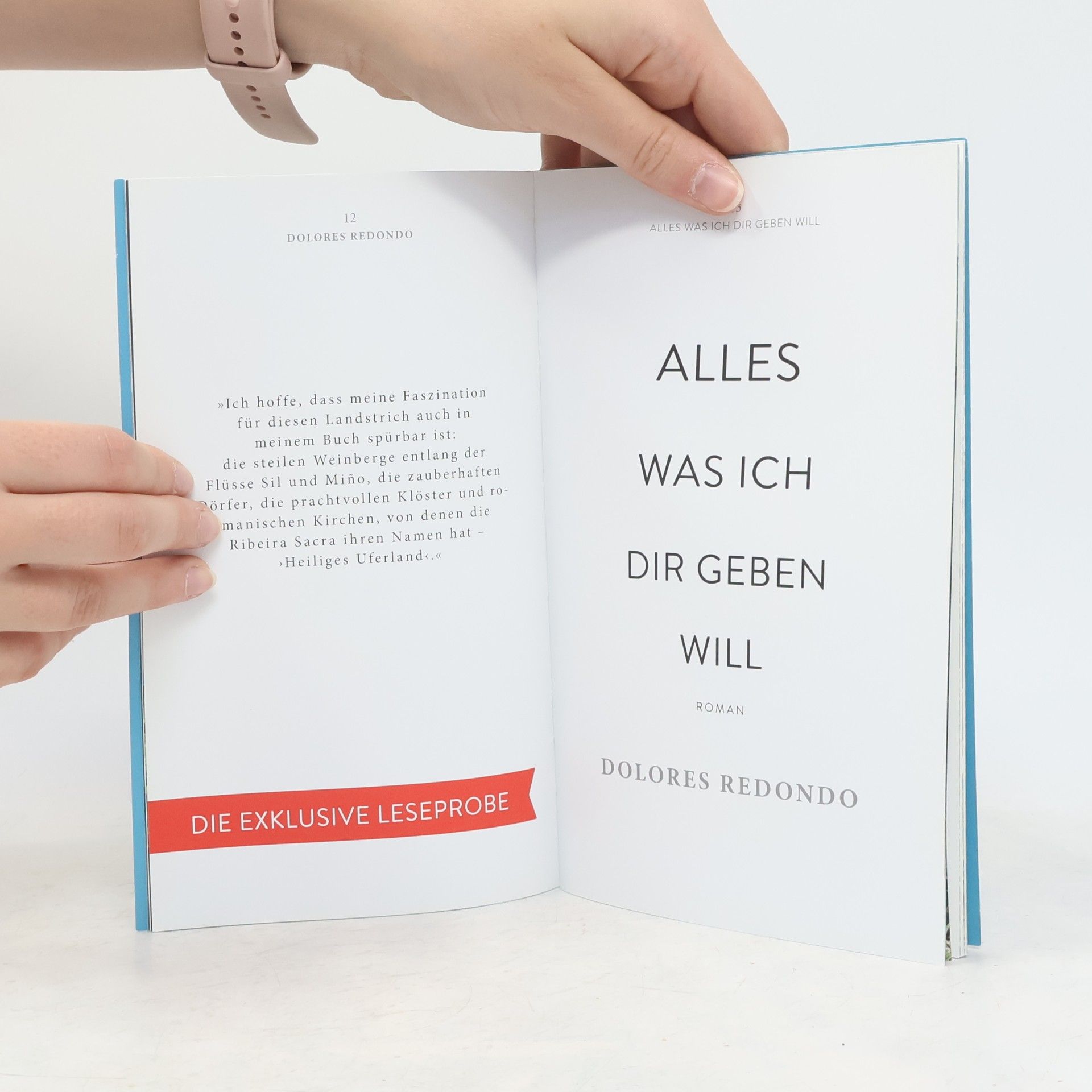 Dolores Redondo Alles was ich dir geben will