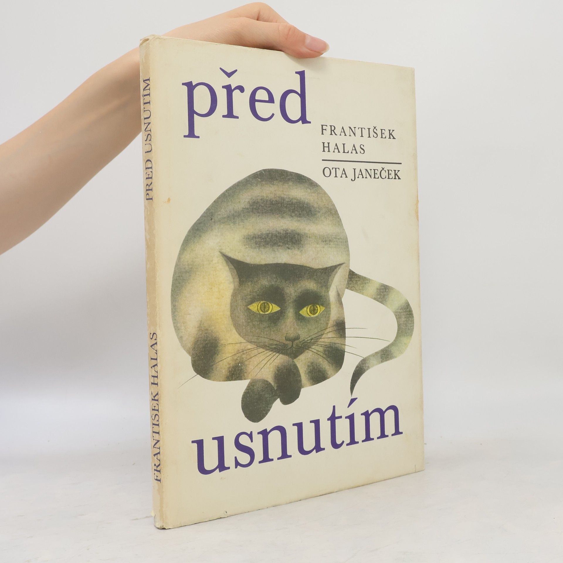 Před usnutím
