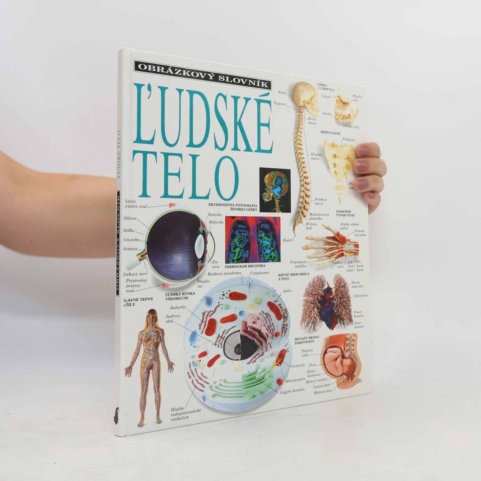 Collectif d'auteurs ľudské telo