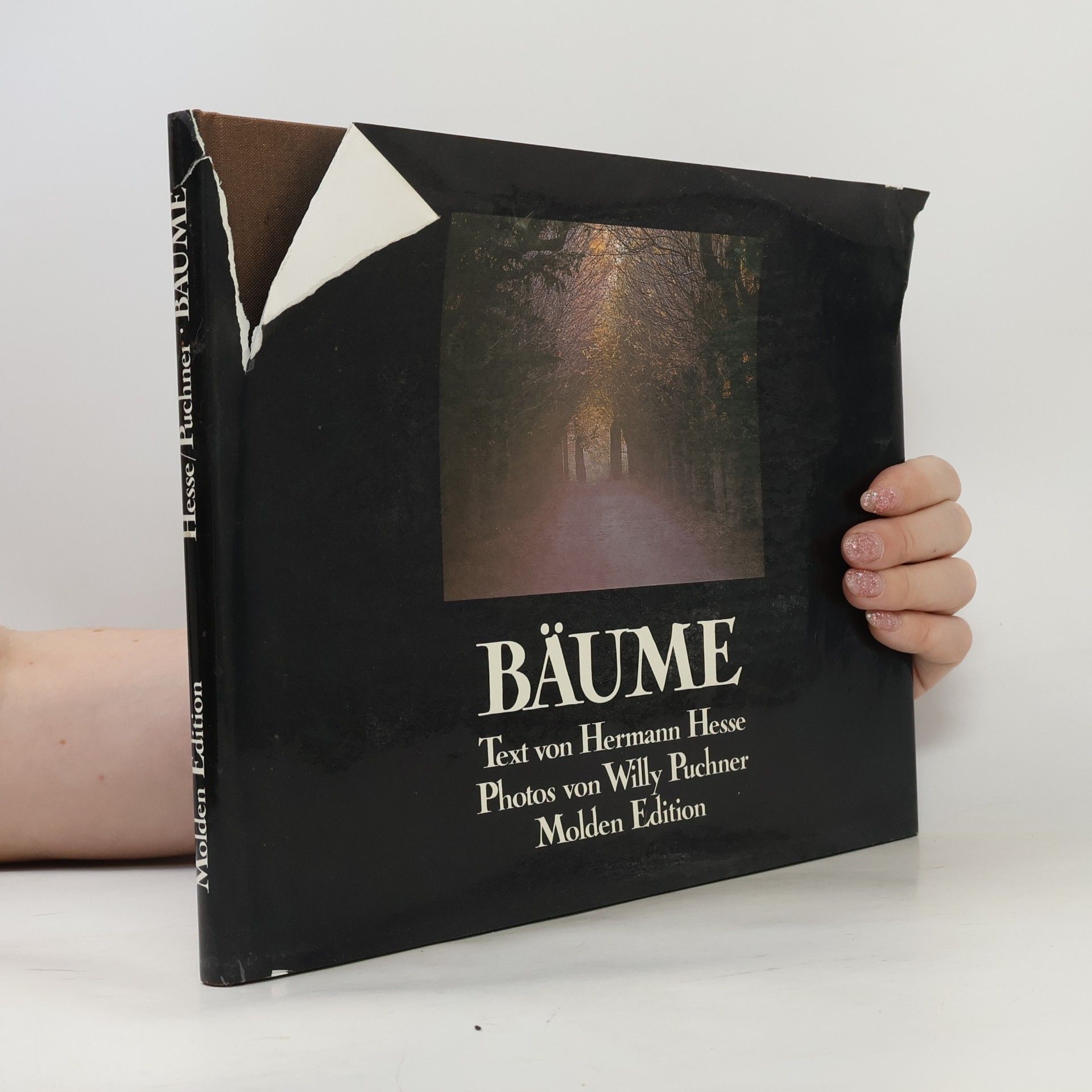 Hermann Hesse Bäume