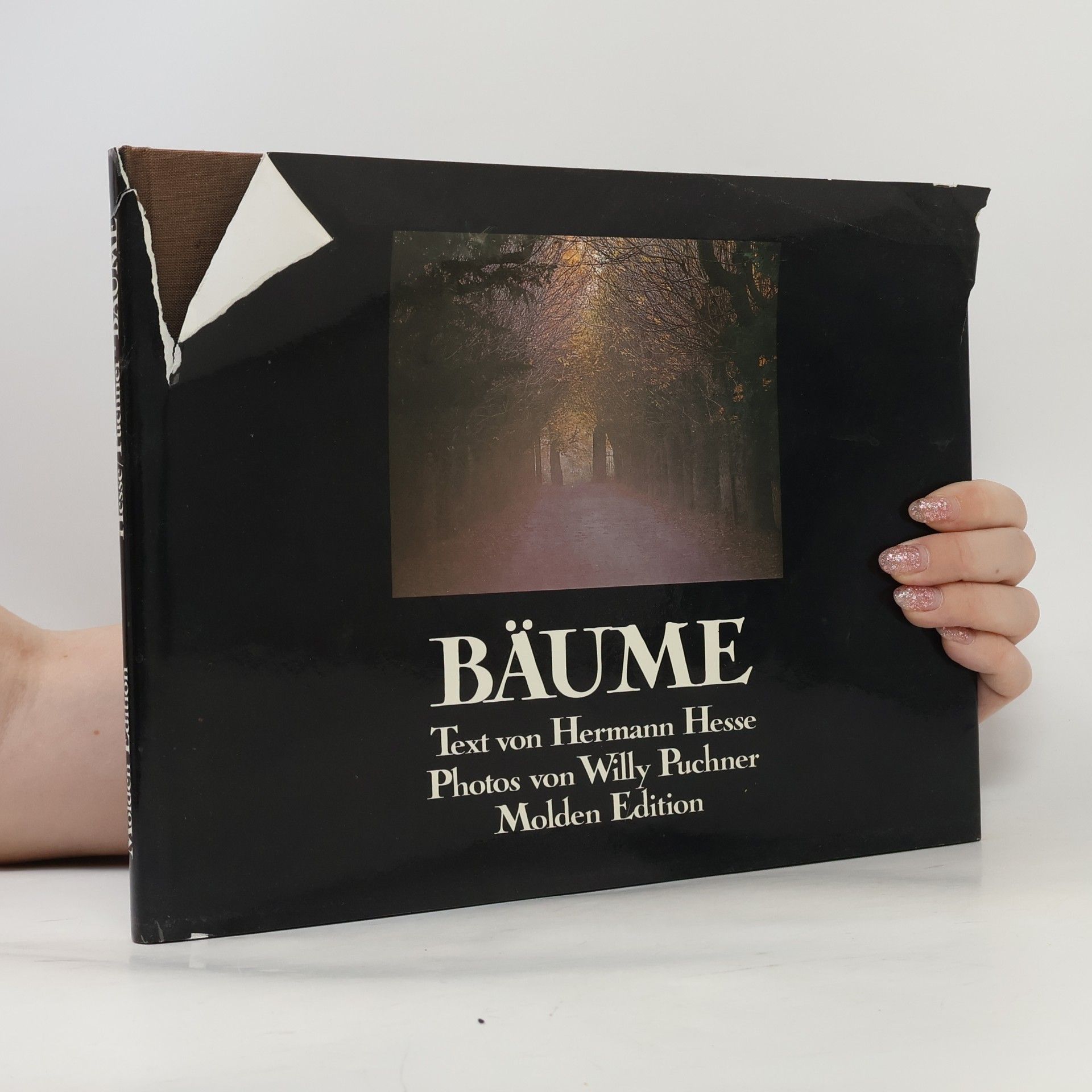 Hermann Hesse Bäume