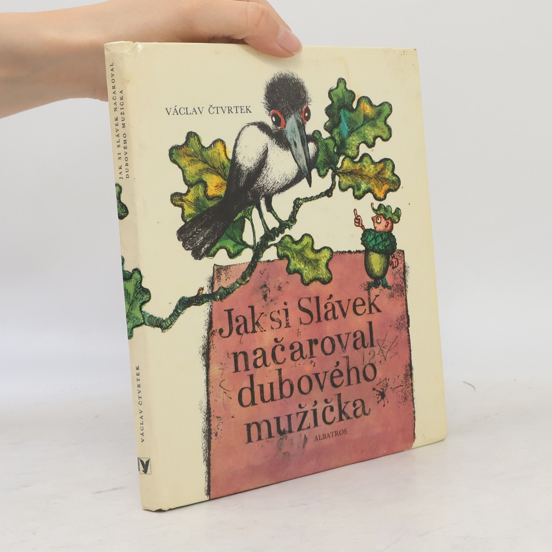 Jak si Slávek načaroval dubového mužíčka