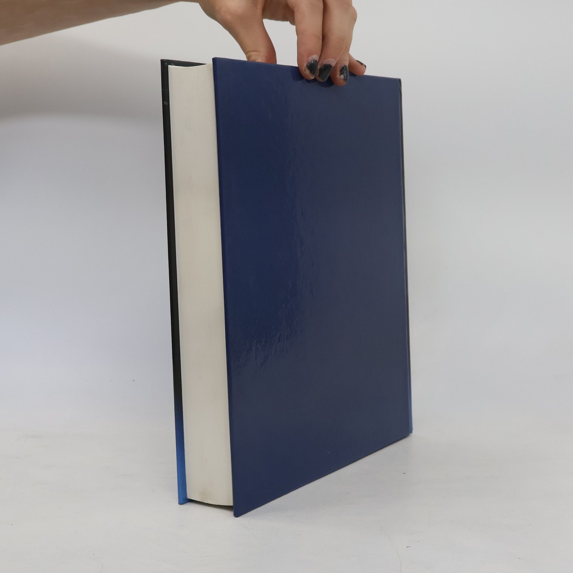 Autores varios Seitenstetten. Kunst und Mönchtum an der Wiege Österreichs