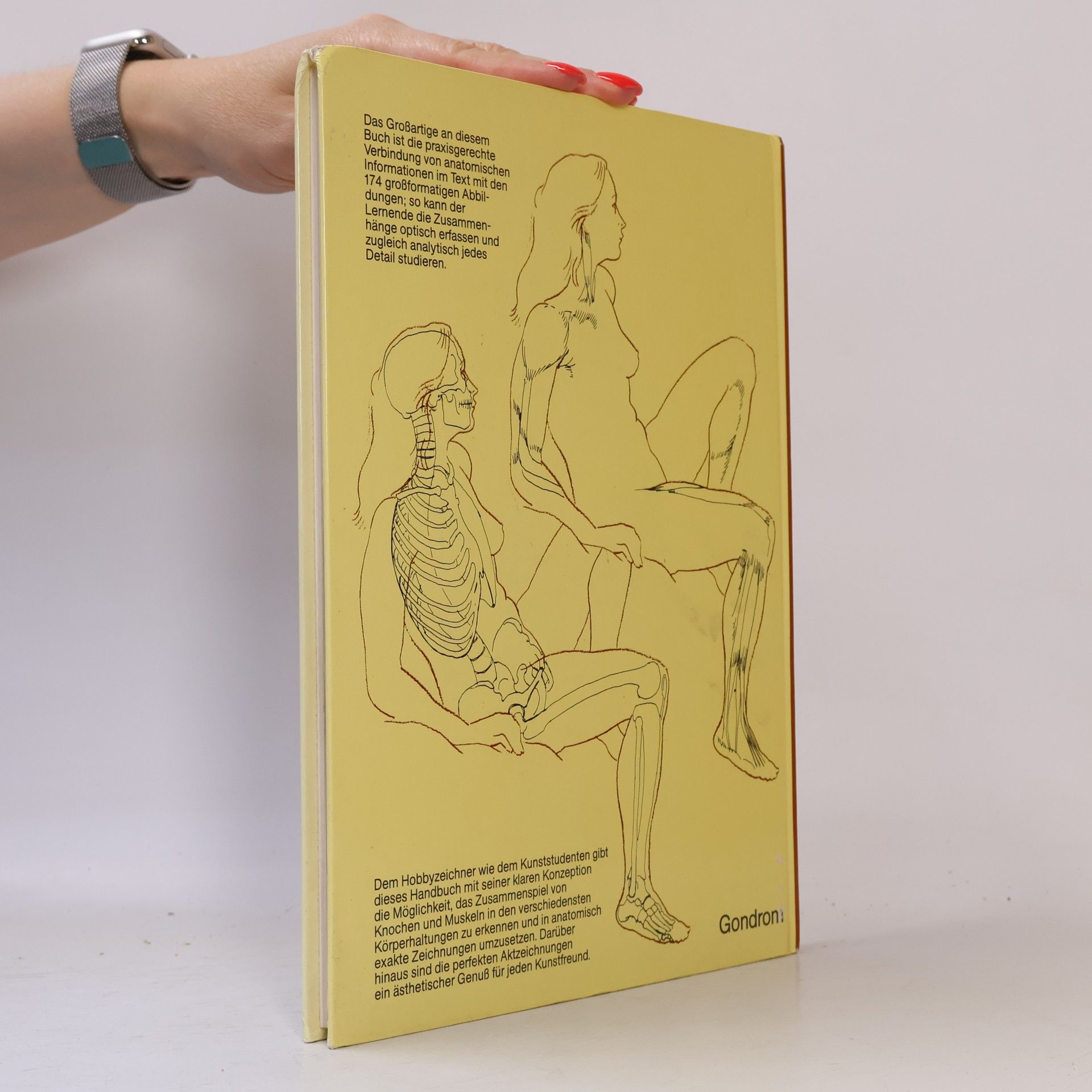 Joseph Sheppard Anatomie für Zeichner. Der menschliche Körper in der Bewegung