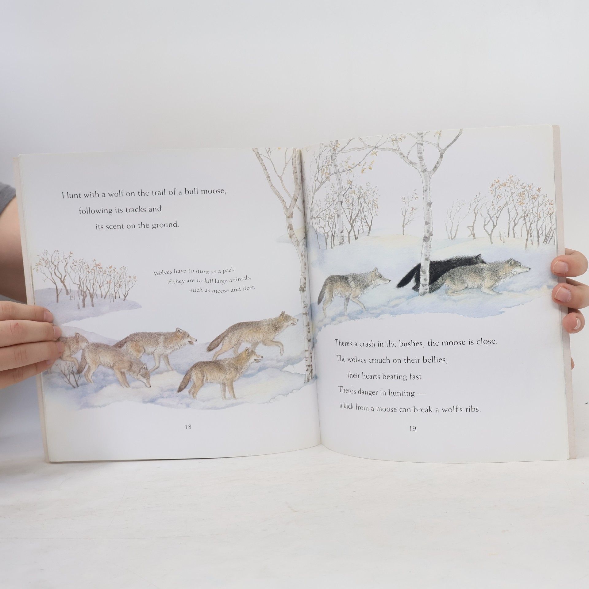 Janni Howker Read and Wonder: Walk with a Wolf