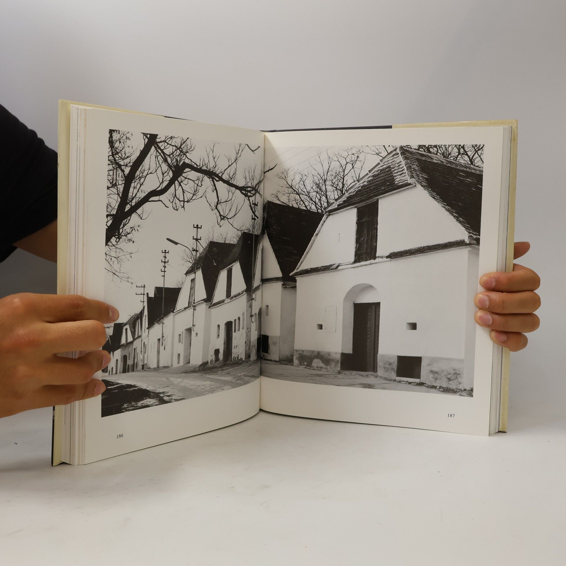 Johann Kräftner Naive Architektur 2