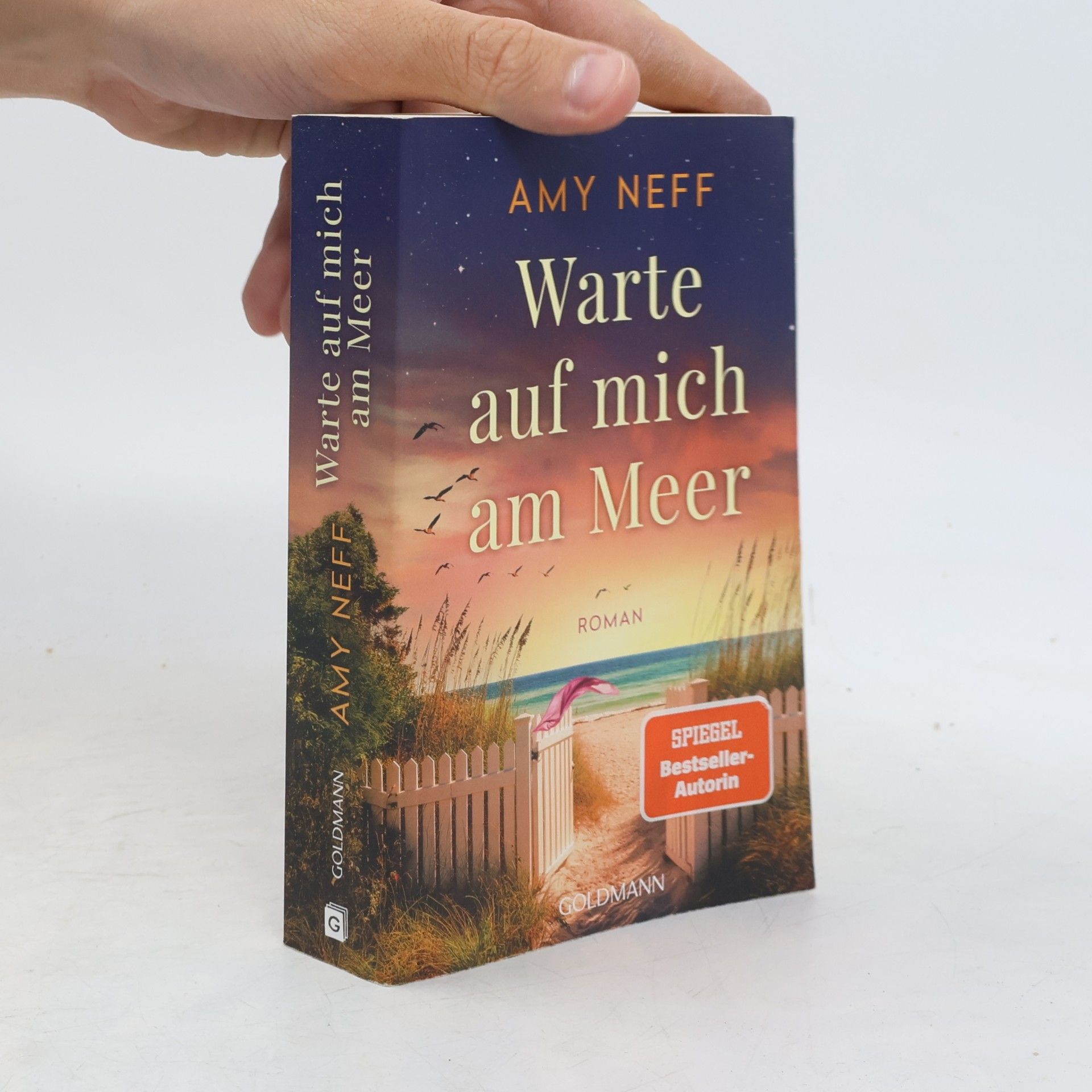 Amy Neff Warte auf mich am Meer