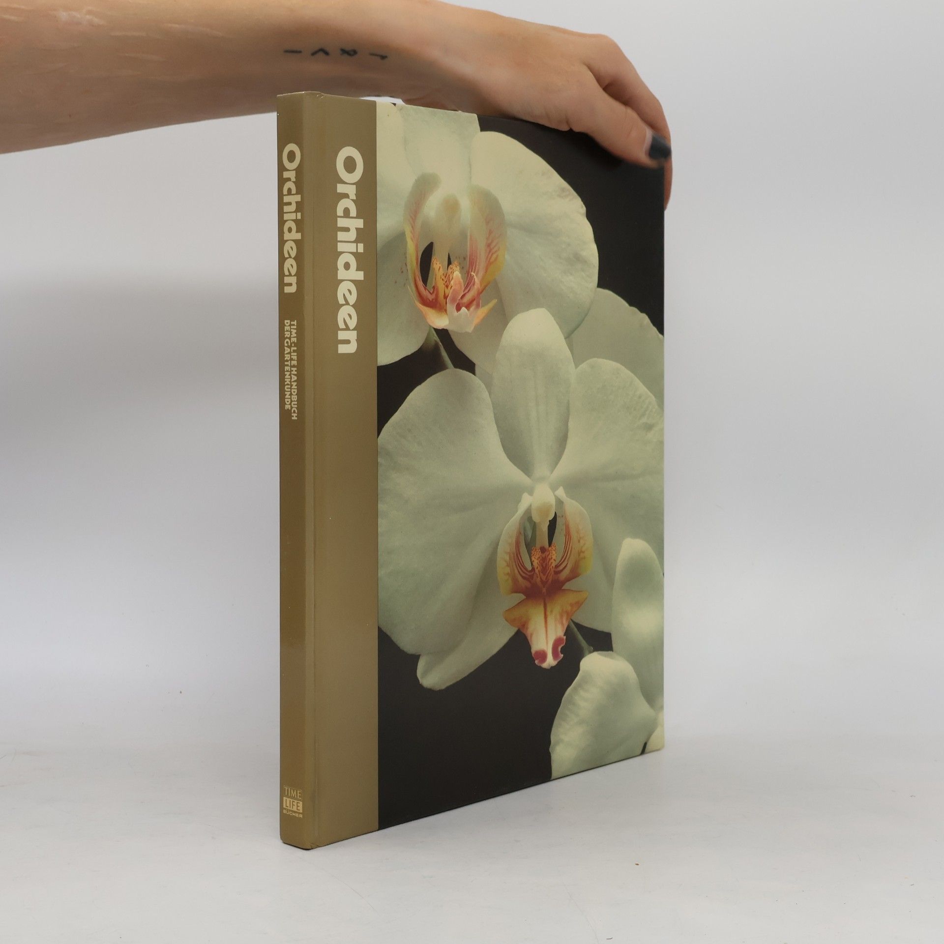 Orchideen