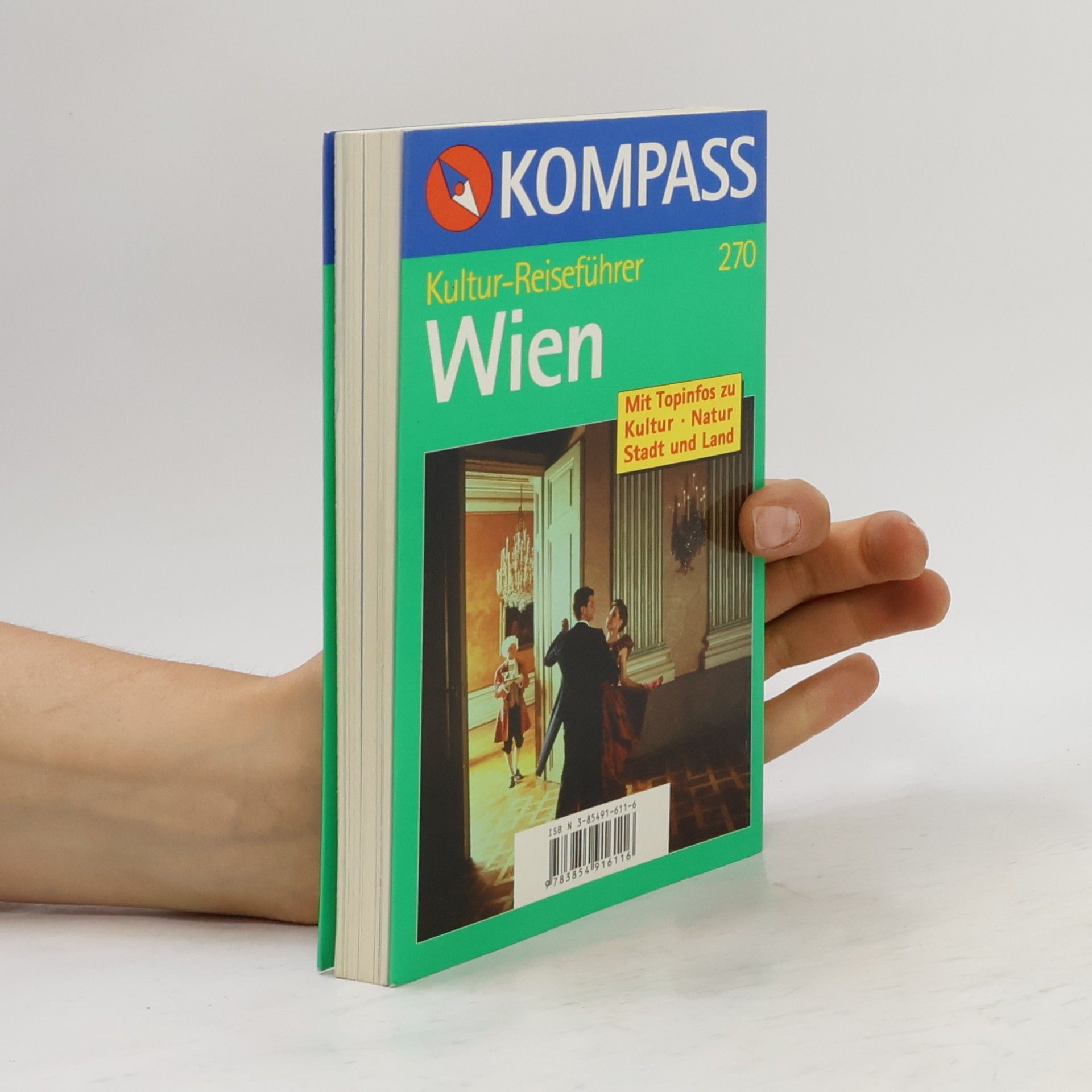 Ingrid Fleischmann Niederbacher Wien. Kultur-Reiseführer. Topinfos zu Kunst, Kultur, Stadt und Land