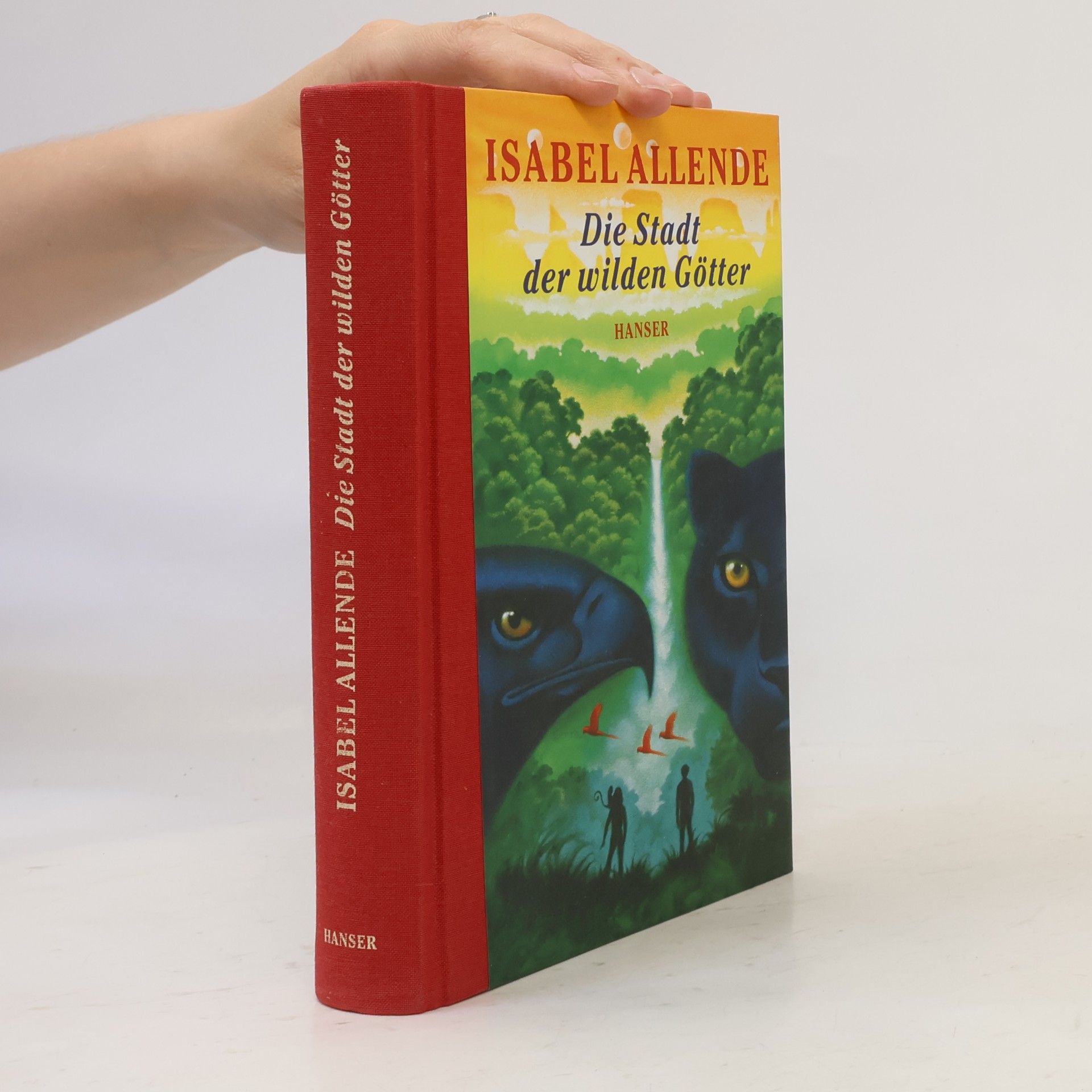 Isabel Allende Die Stadt der wilden Götter