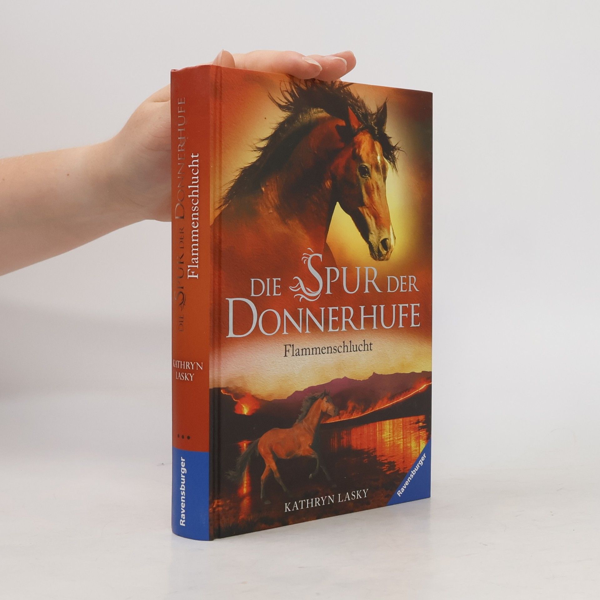 Kathryn Lasky Die Spur der Donnerhufe. Band 1: Flammenschlucht.