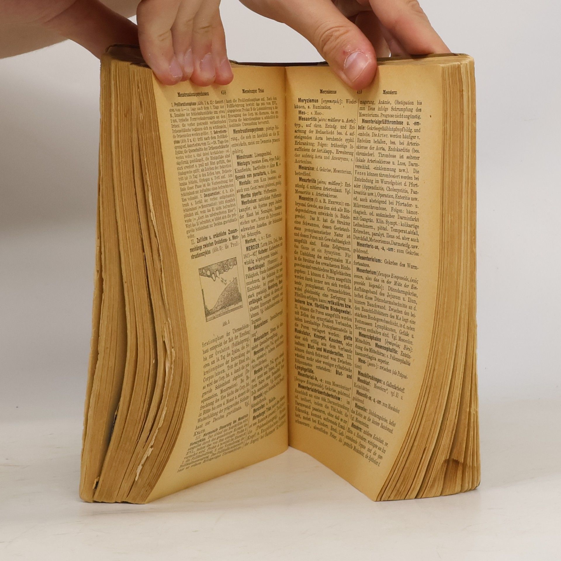 Willibald Pschyrembel Klinisches Wörterbuch