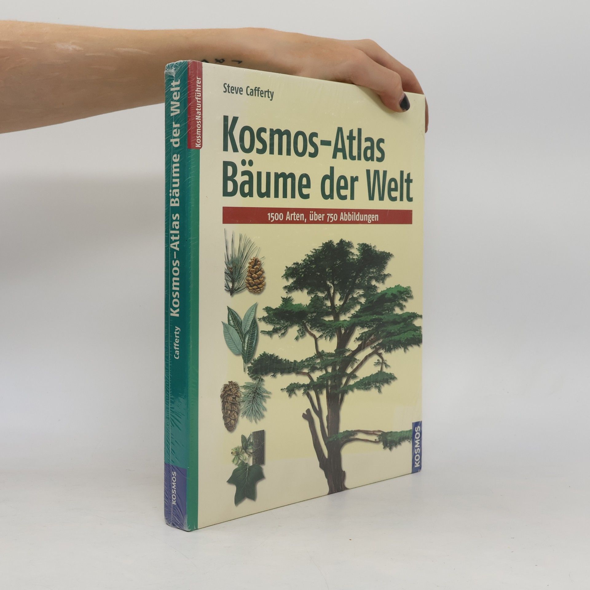 Steve Cafferty Kosmos-Atlas Bäume der Welt