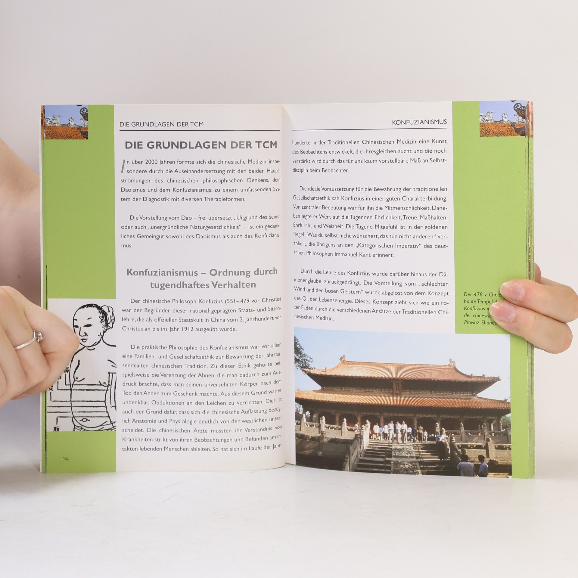 Autorenkollektiv Traditional Chinese Medicine