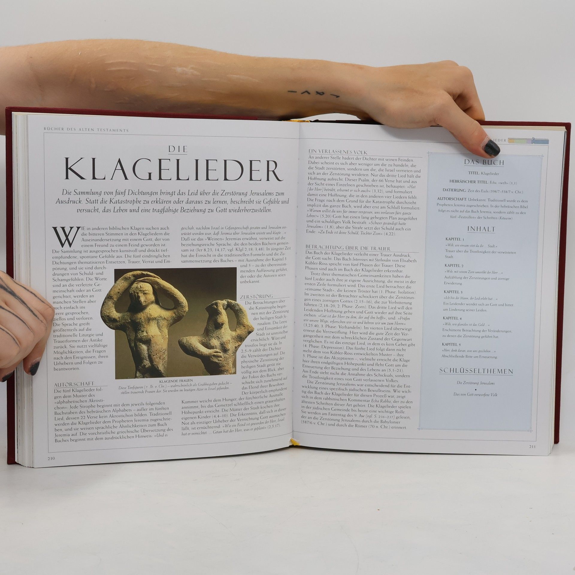 John Bowker Die faszinierende Welt der Bibel