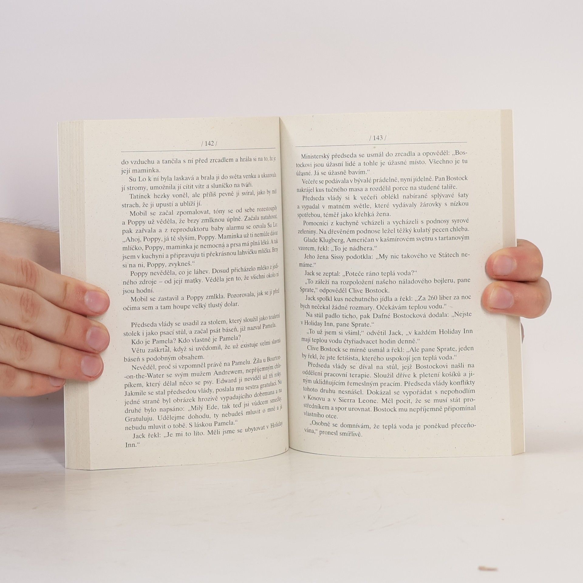 Sue Townsend Inkognito