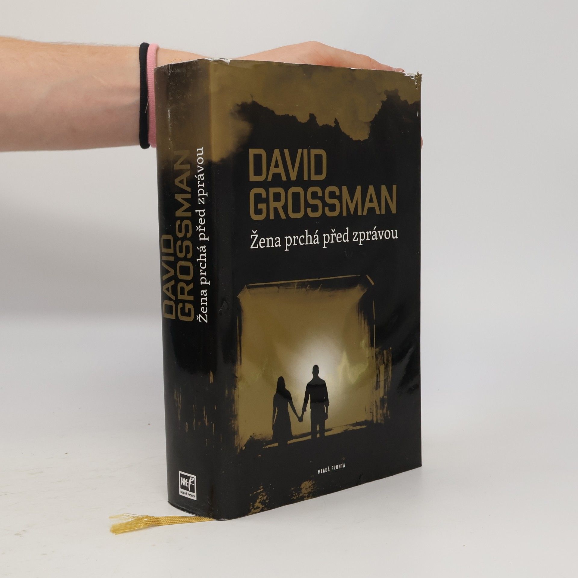 David Grossman Žena prchá před zprávou