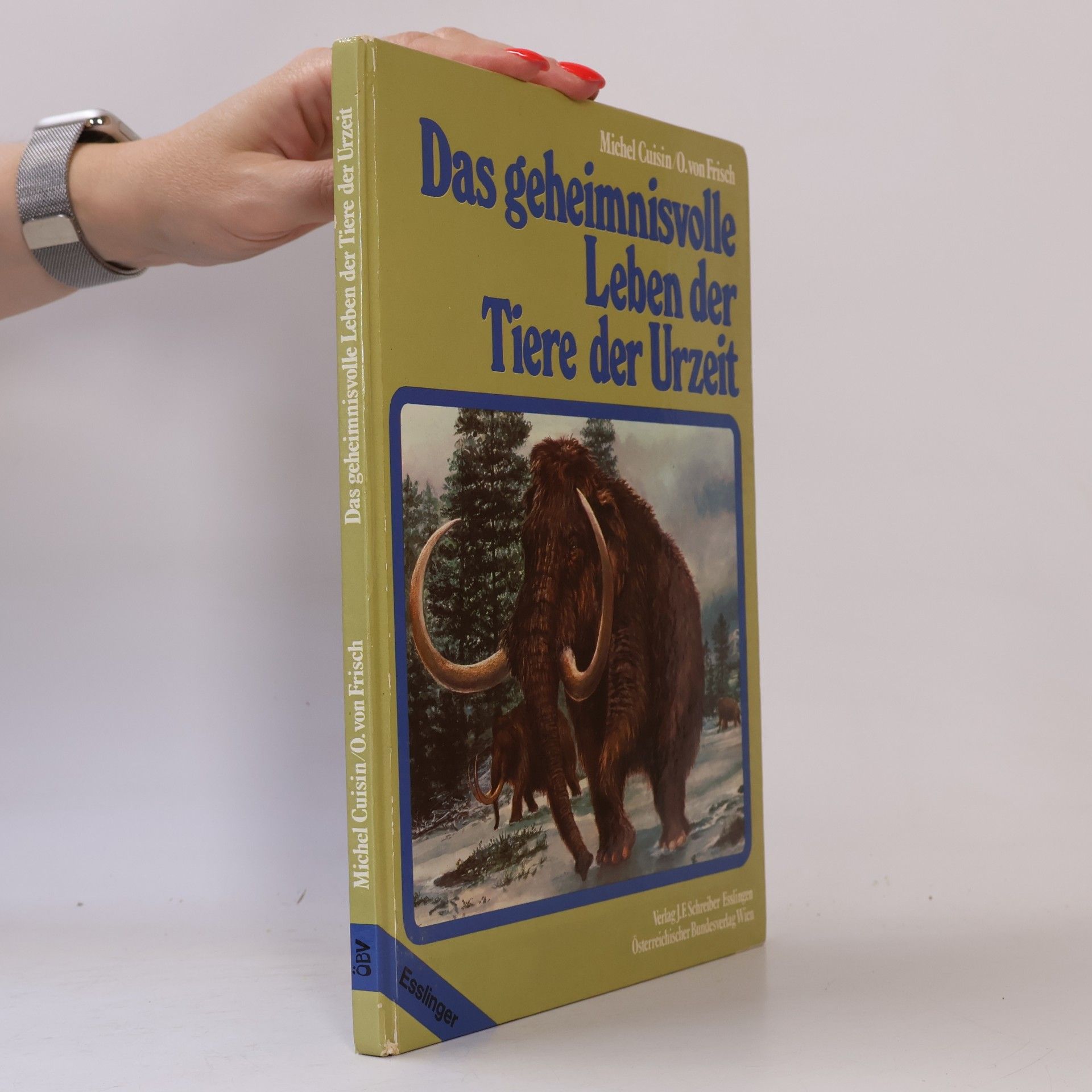 Michel Cuisin Das geheimnisvolle Leben der Tiere der Urzeit